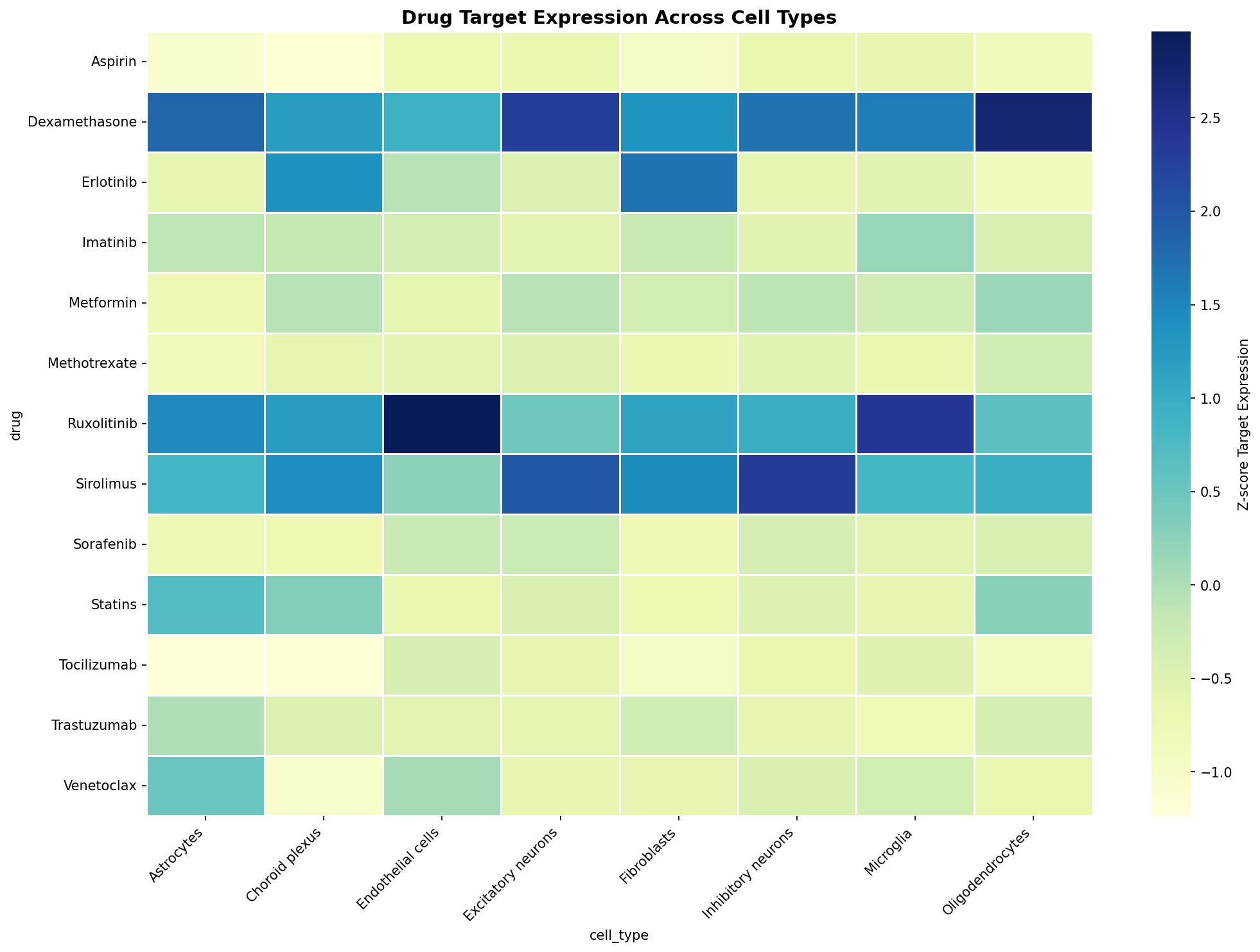 Drug Target Expression Heatmap