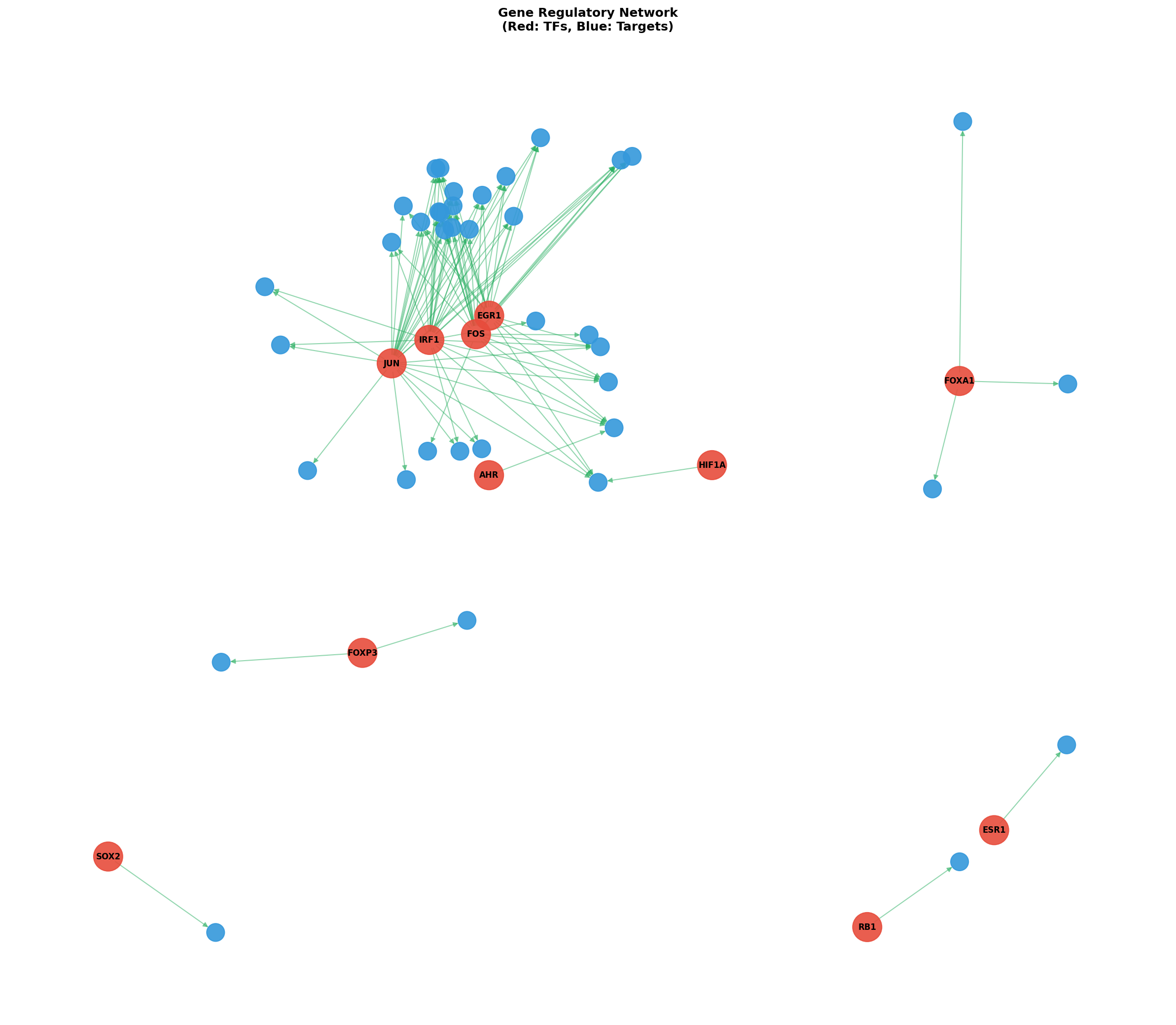 Exploratory TF-Target Association Network