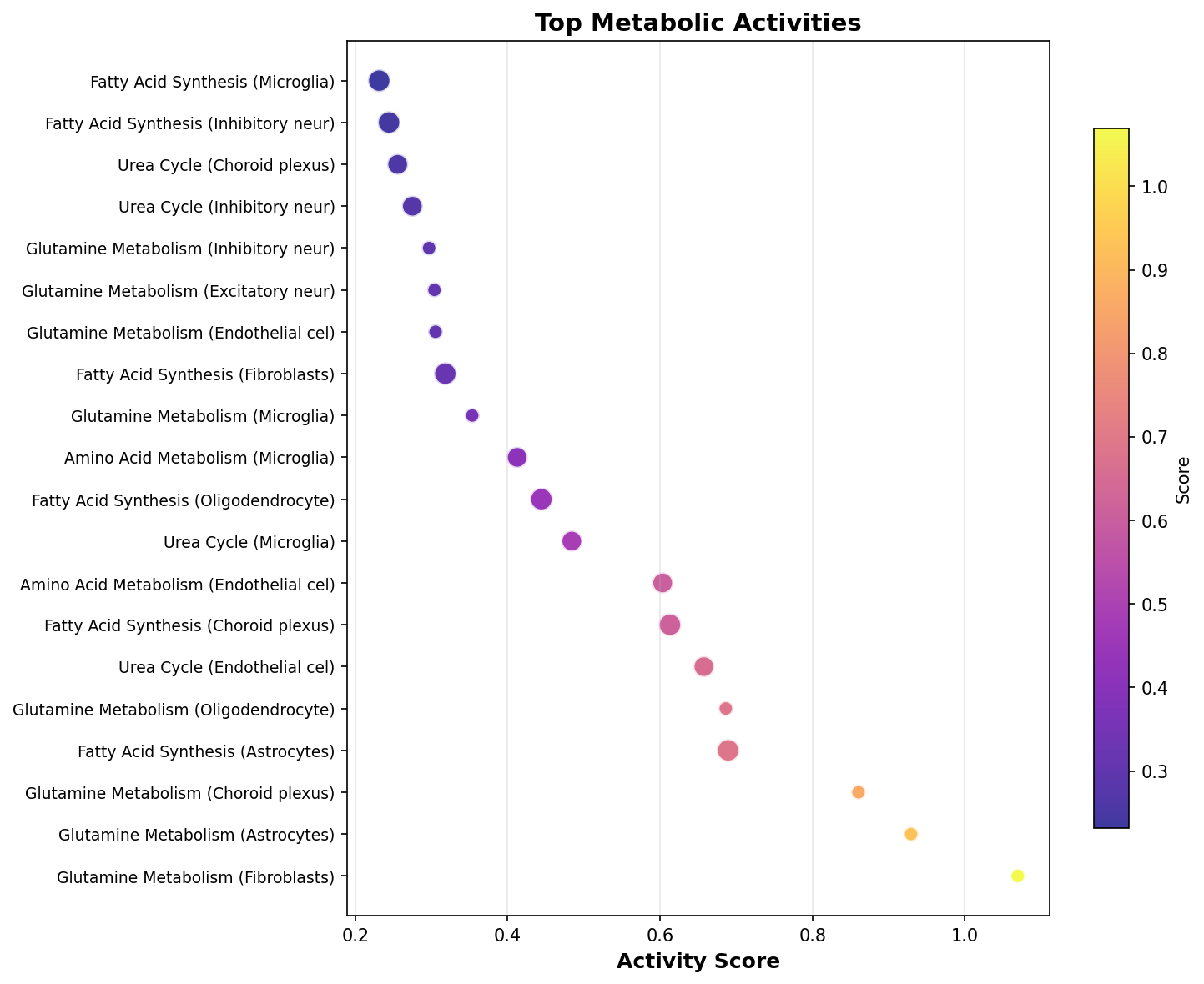 Top Metabolic Activities