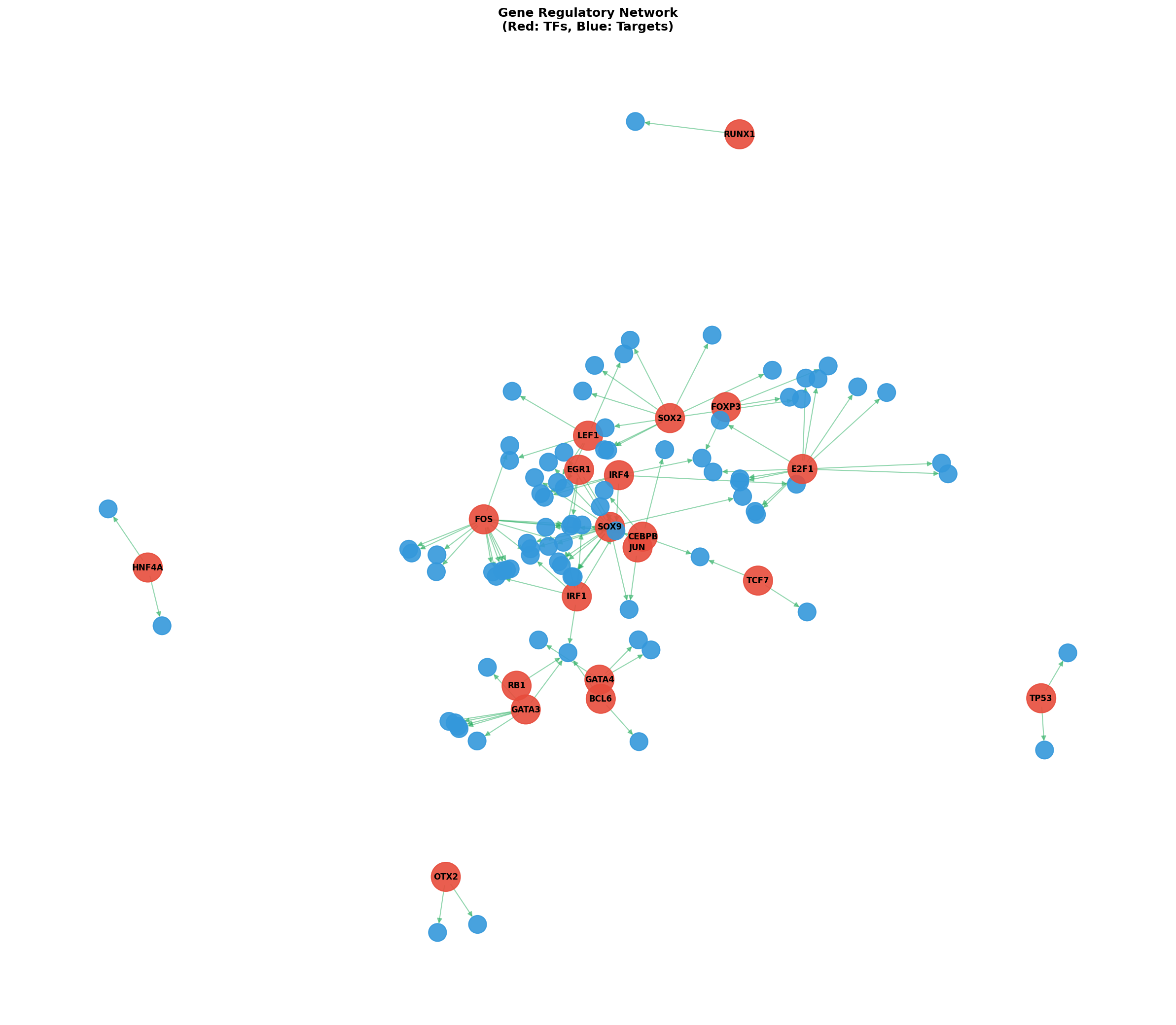 Exploratory TF-Target Association Network