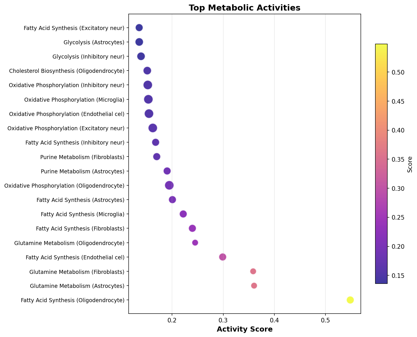 Top Metabolic Activities