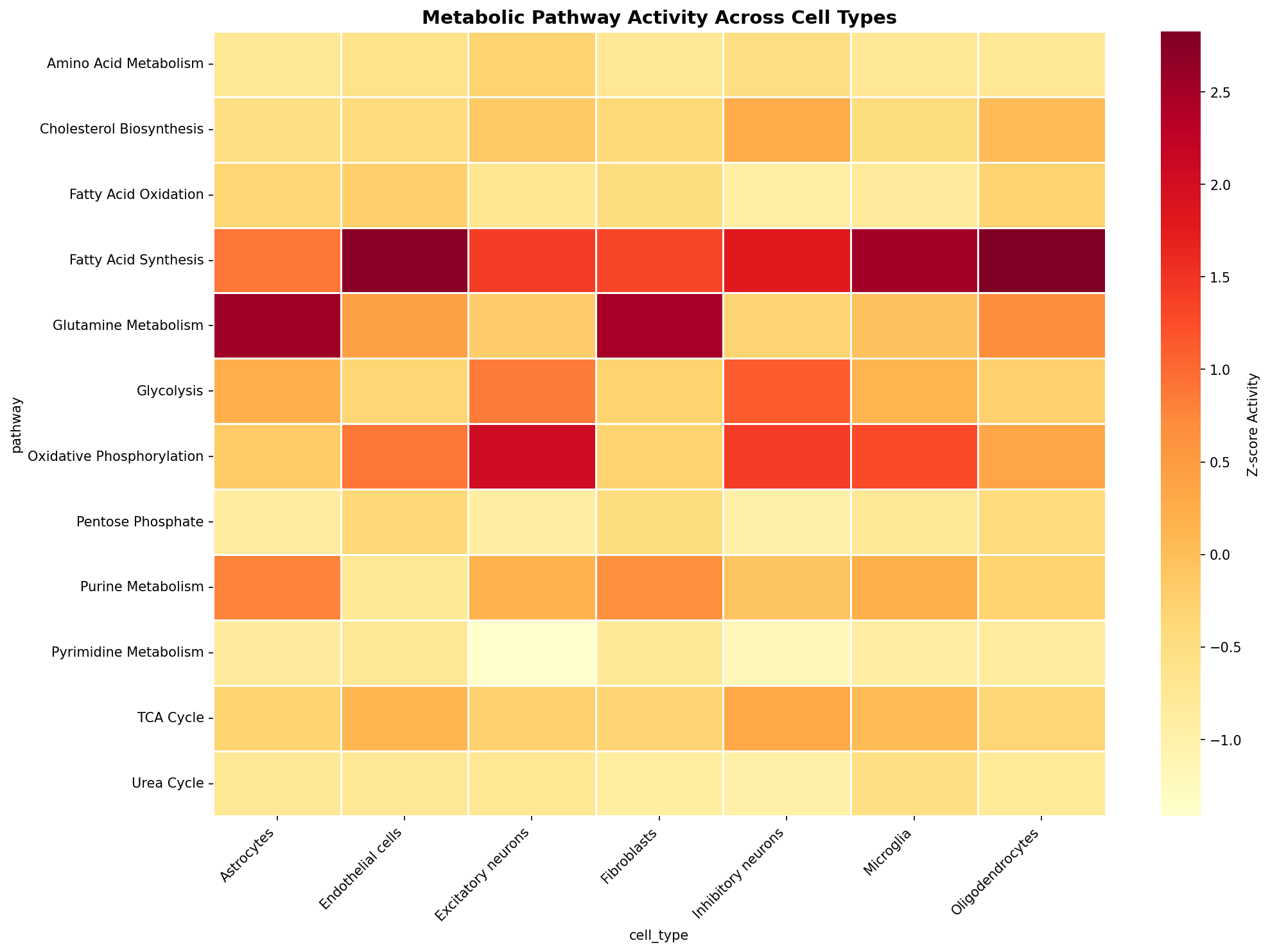 Metabolic Pathway Heatmap