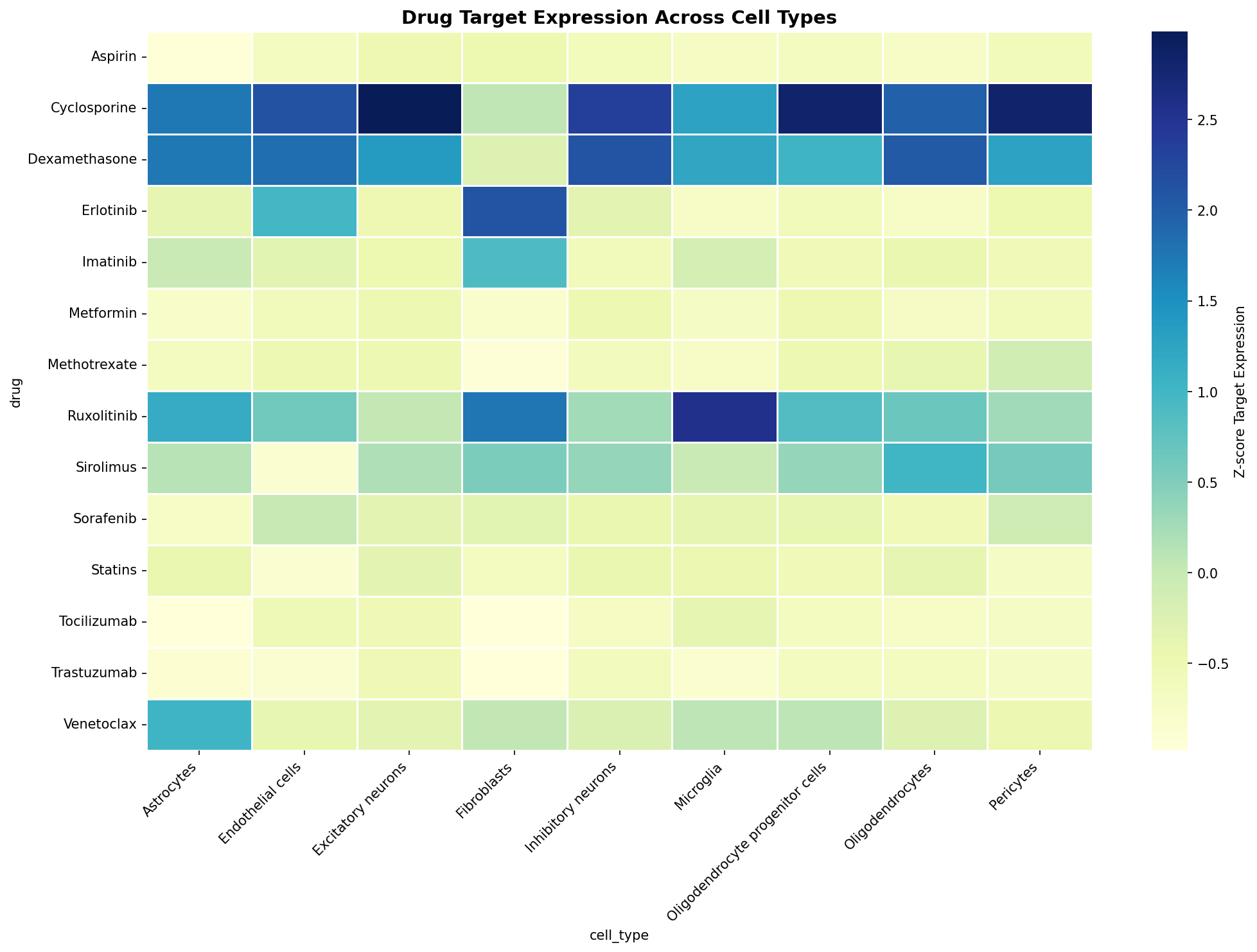 Drug Target Expression Heatmap