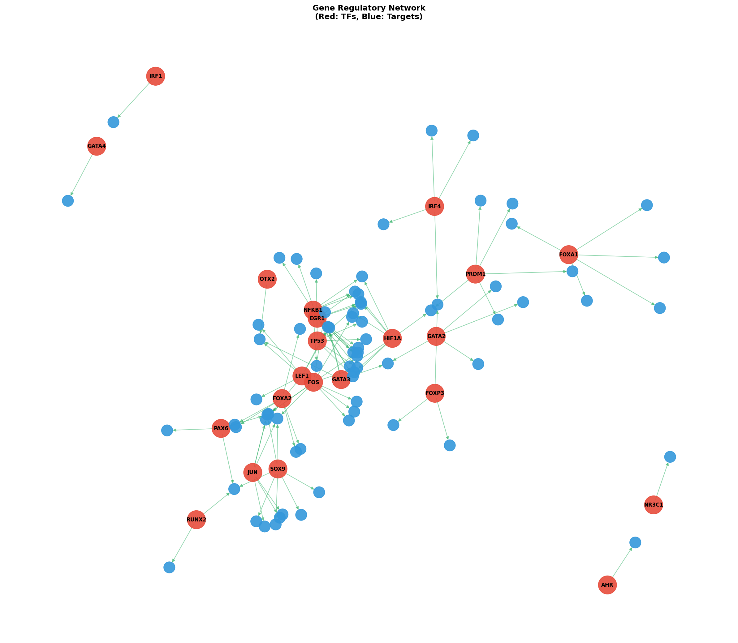 Exploratory TF-Target Association Network
