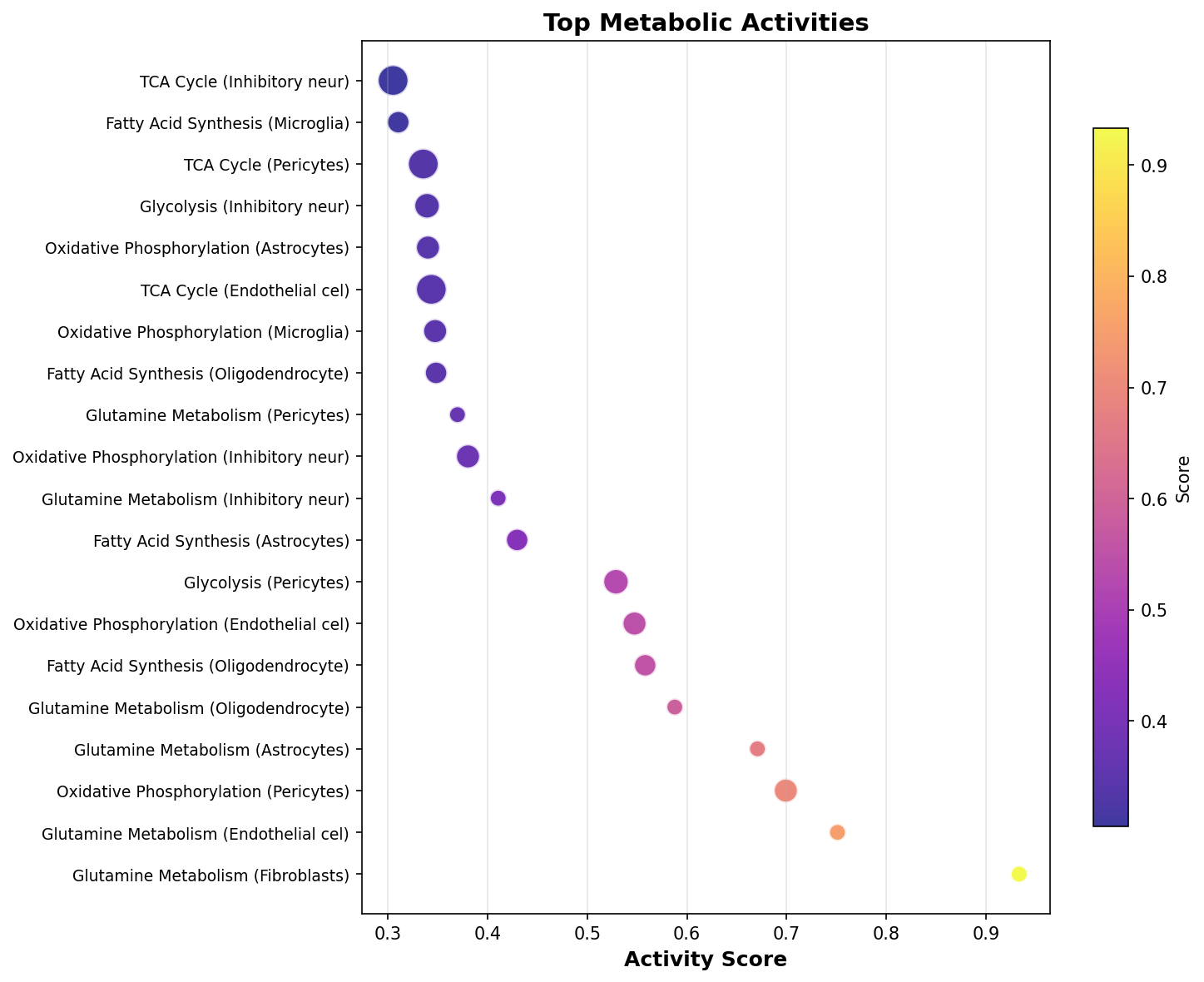 Top Metabolic Activities