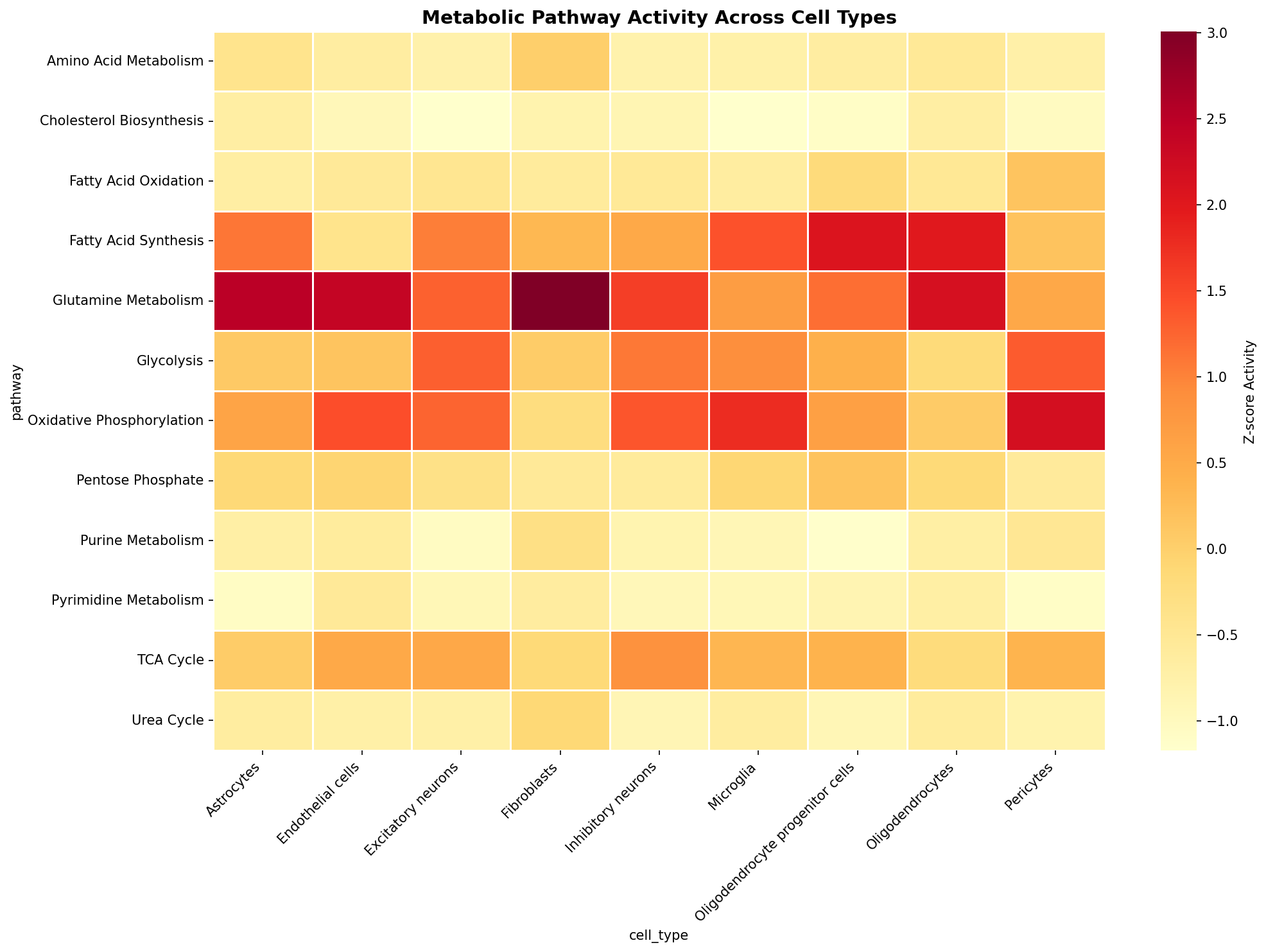 Metabolic Pathway Heatmap