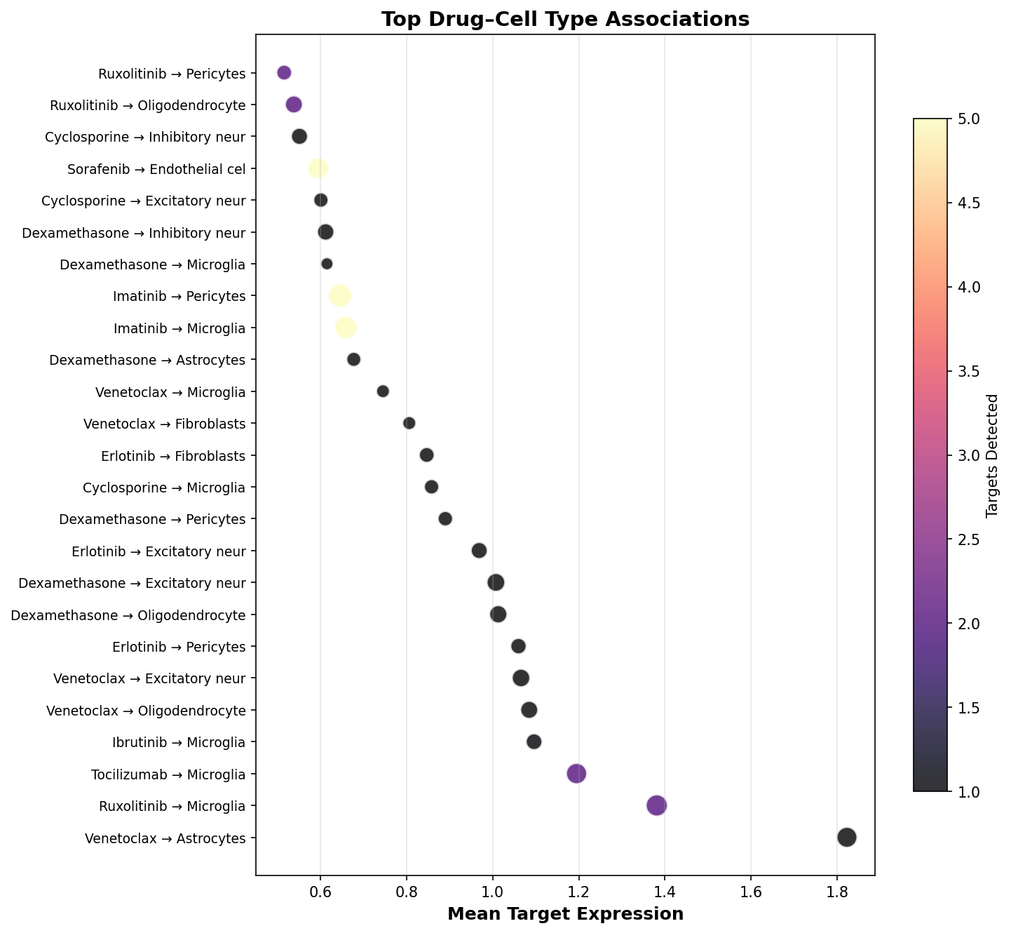 Top Drug–Cell Type Associations