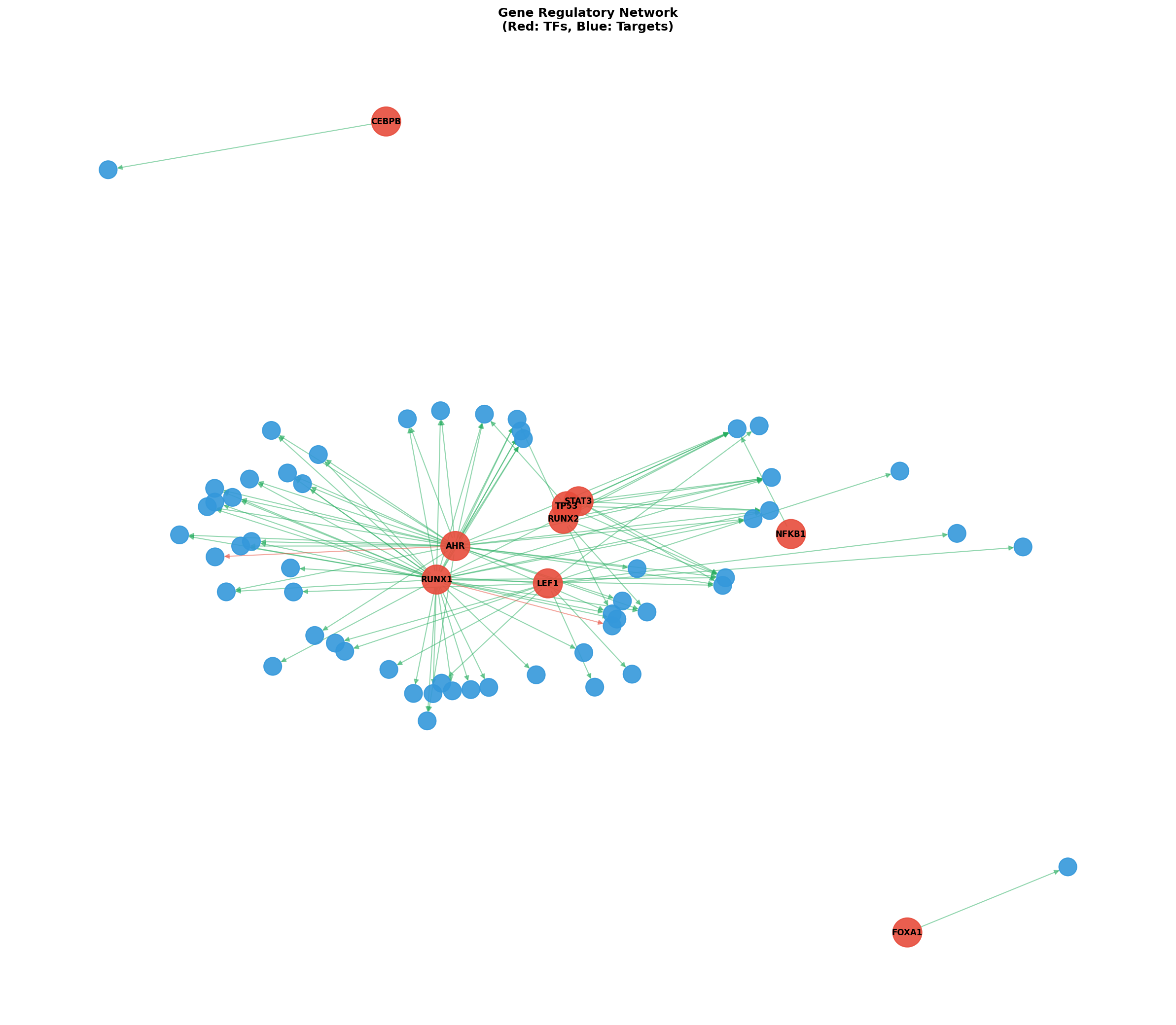 Exploratory TF-Target Association Network
