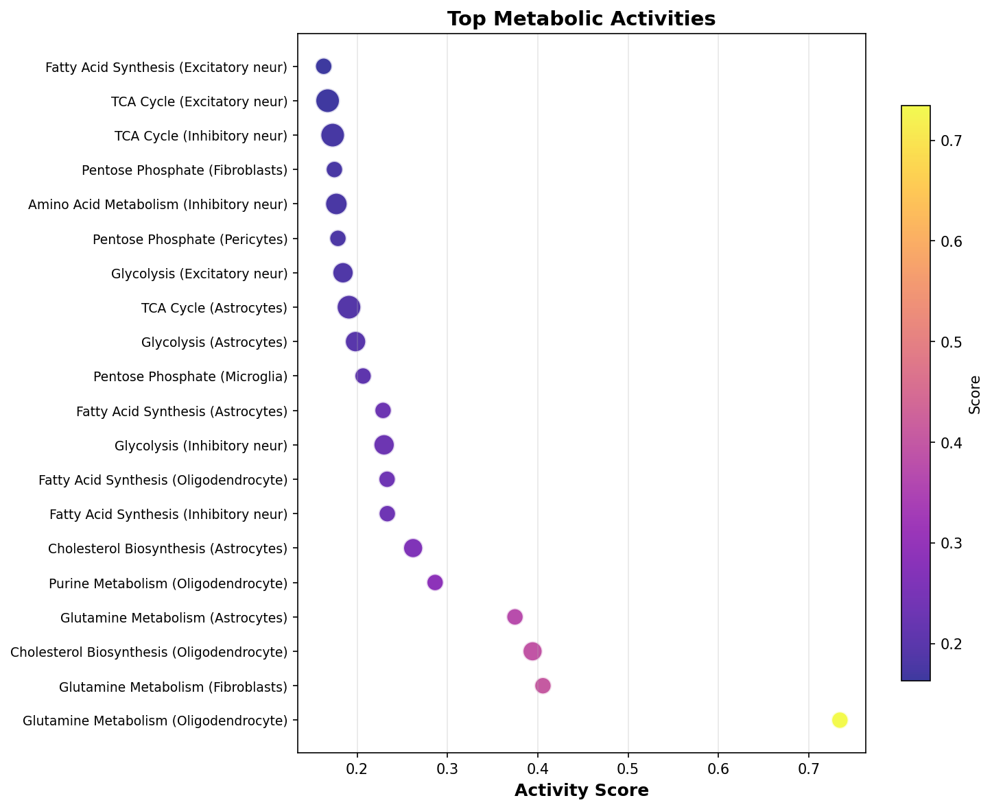 Top Metabolic Activities