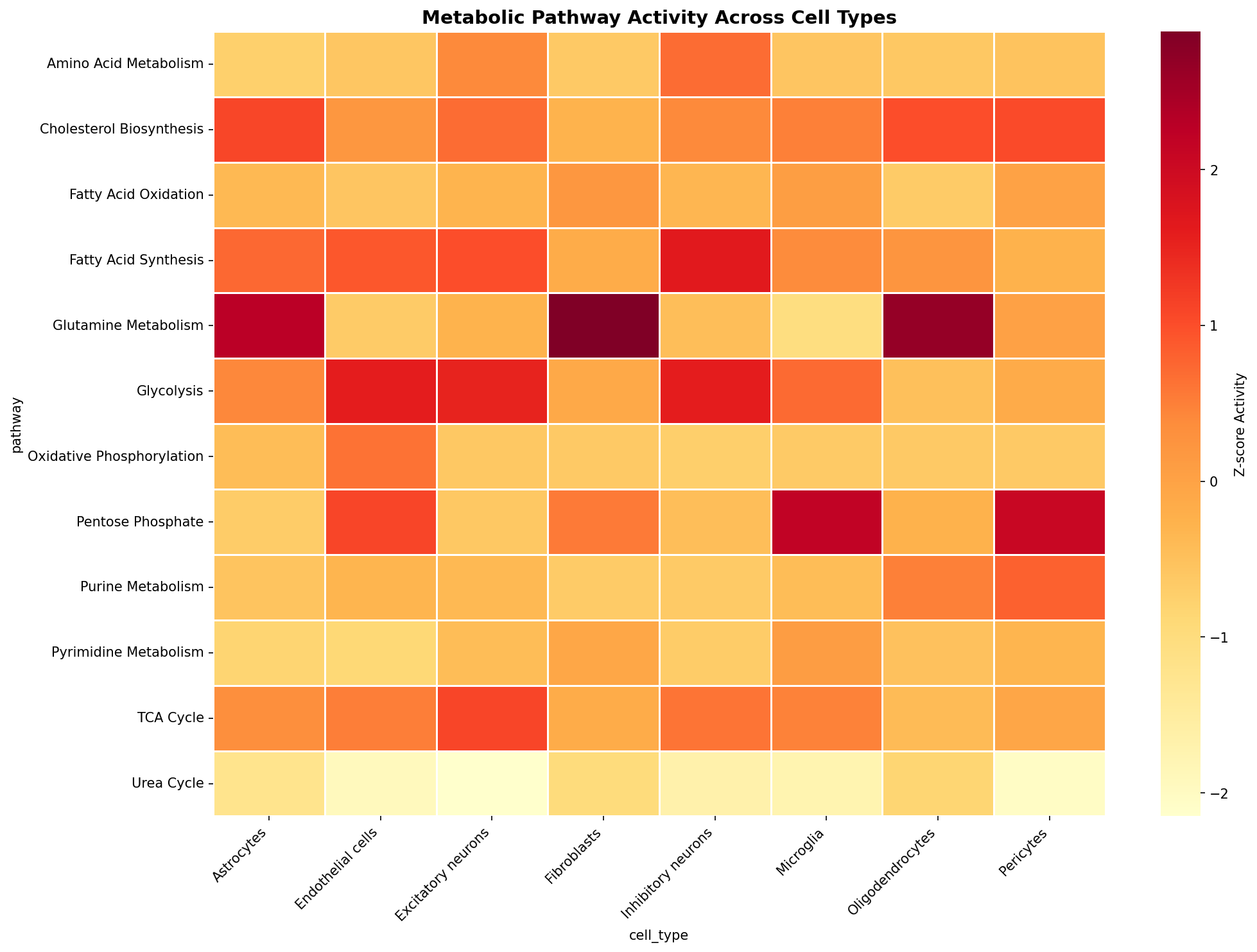 Metabolic Pathway Heatmap
