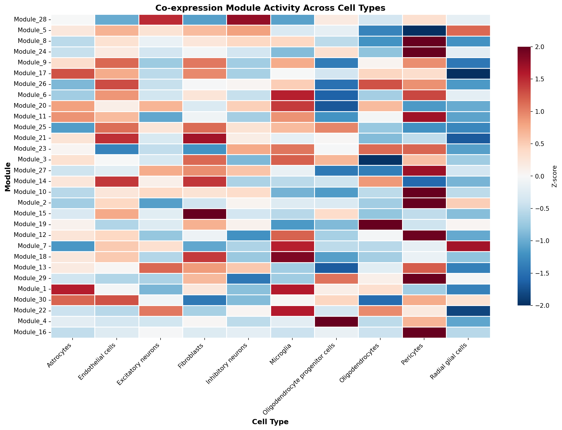 Module-Cell Type Association