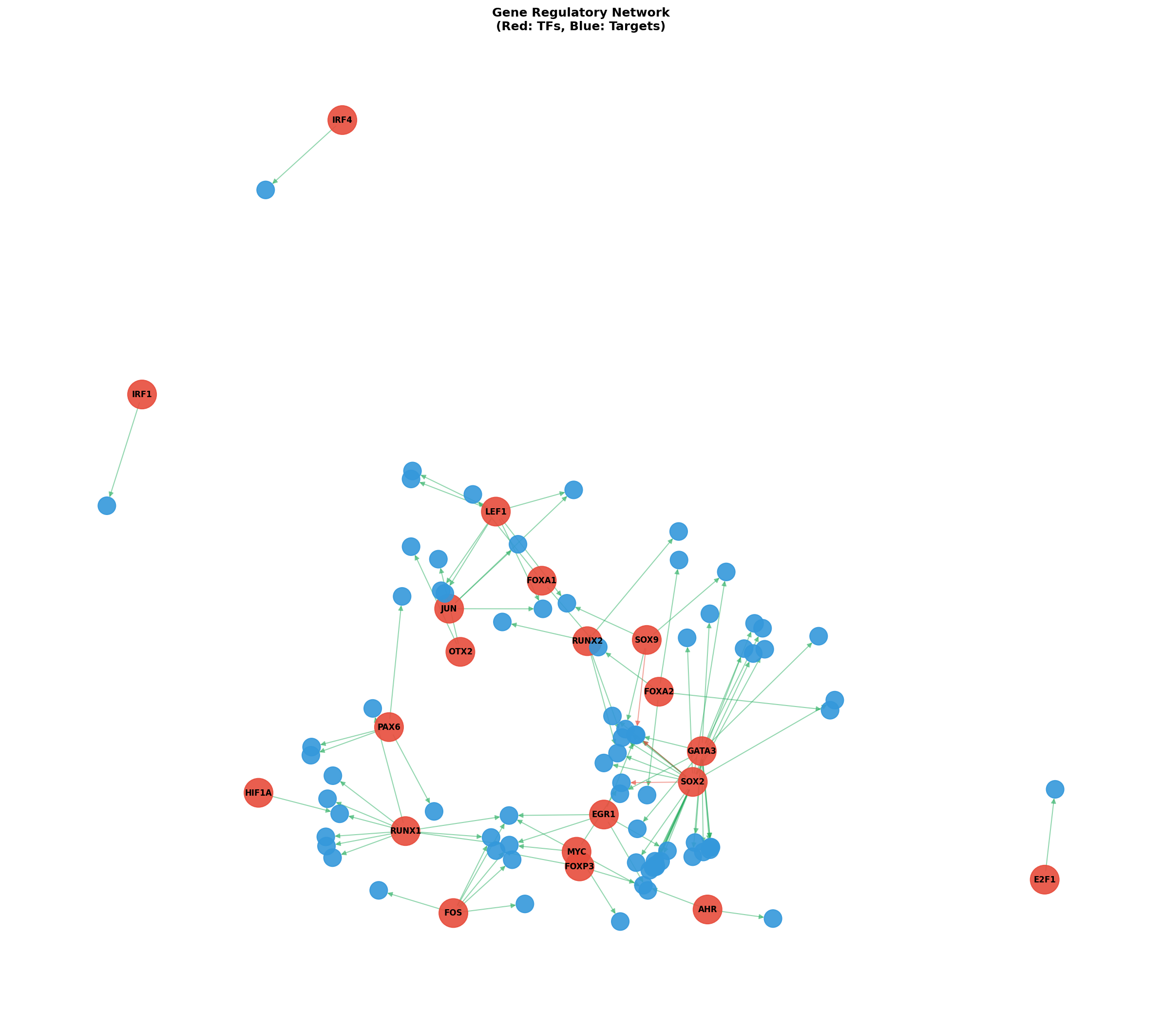 Exploratory TF-Target Association Network