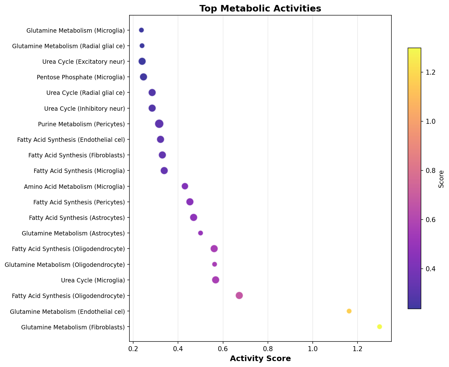 Top Metabolic Activities