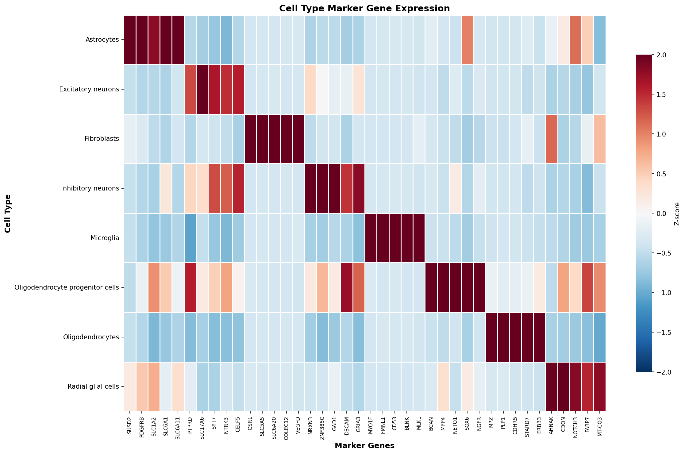 Marker Gene Heatmap
