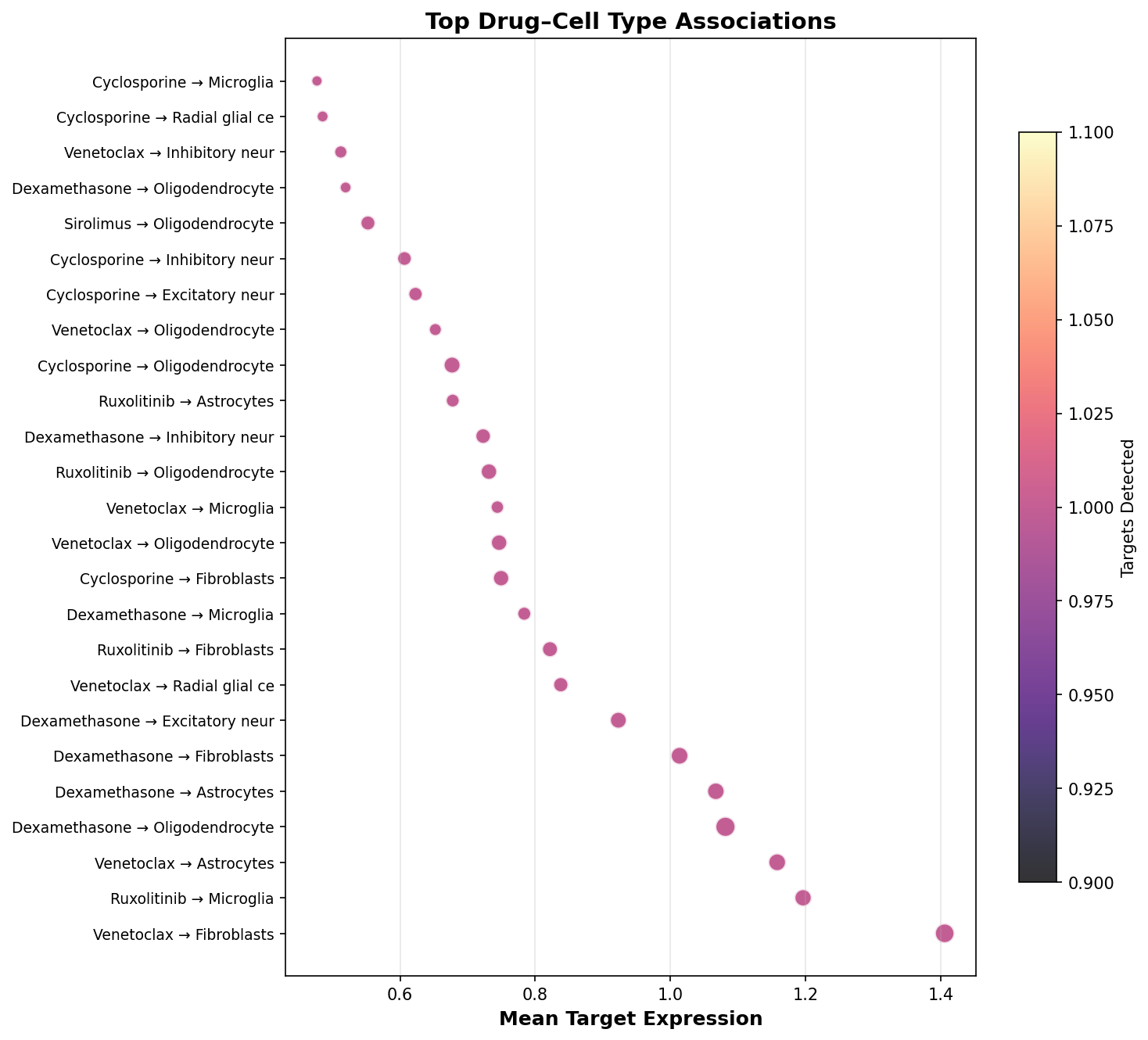 Top Drug–Cell Type Associations