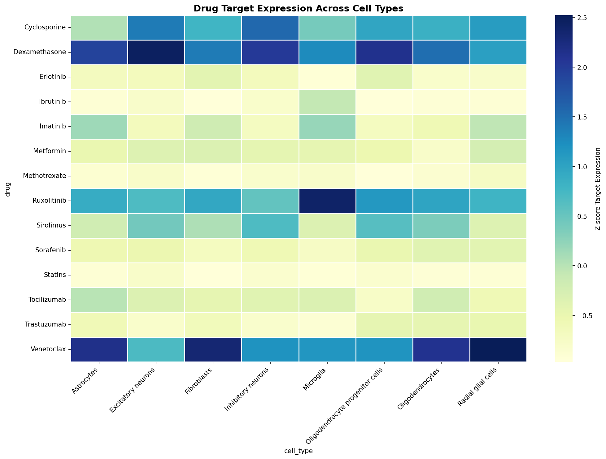Drug Target Expression Heatmap