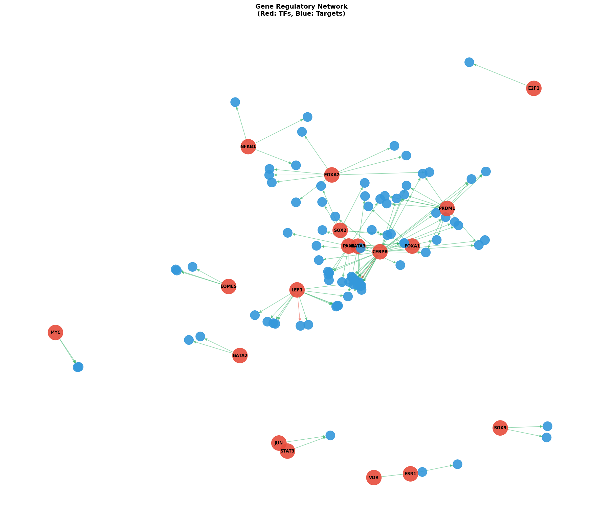 Exploratory TF-Target Association Network