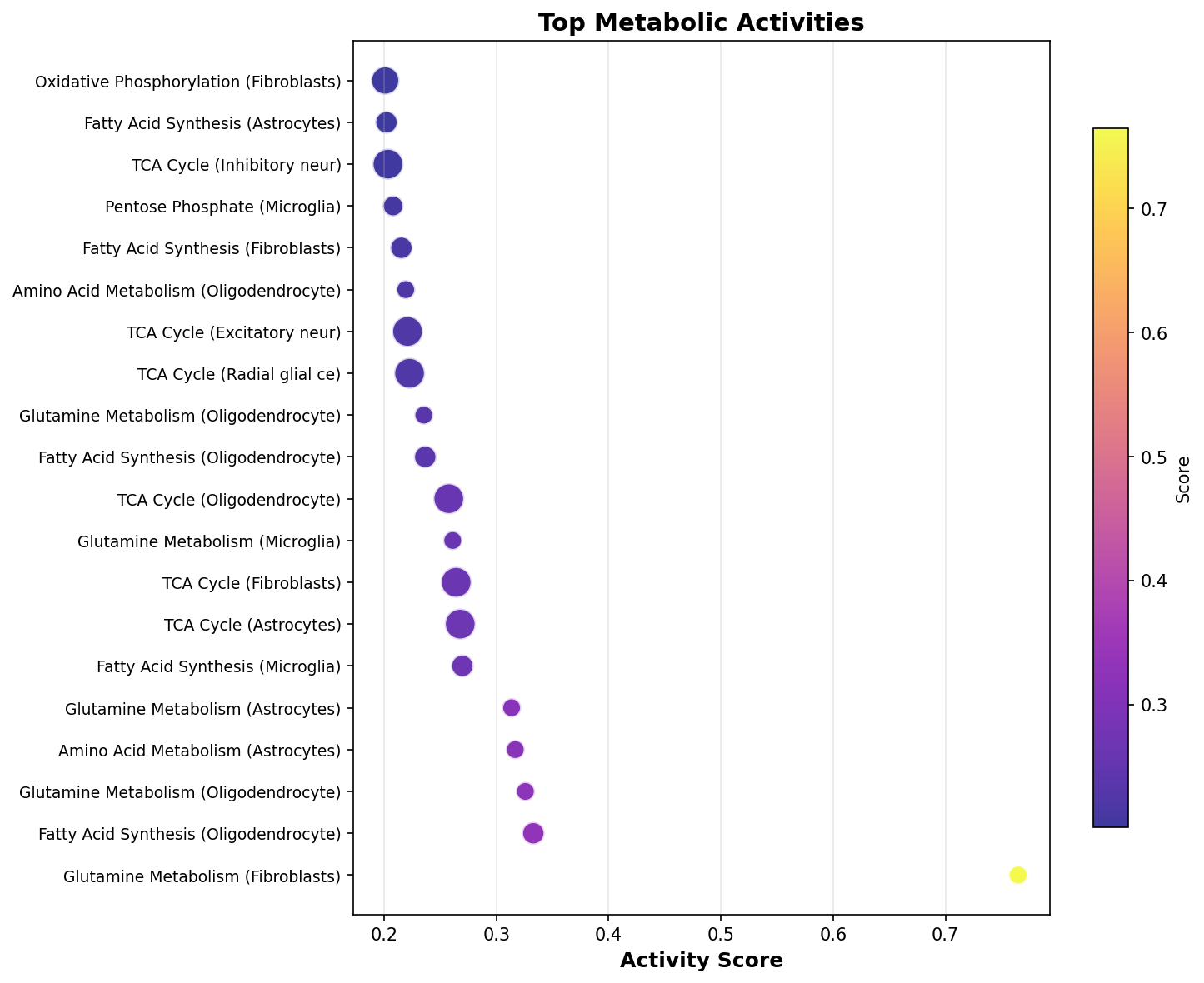 Top Metabolic Activities