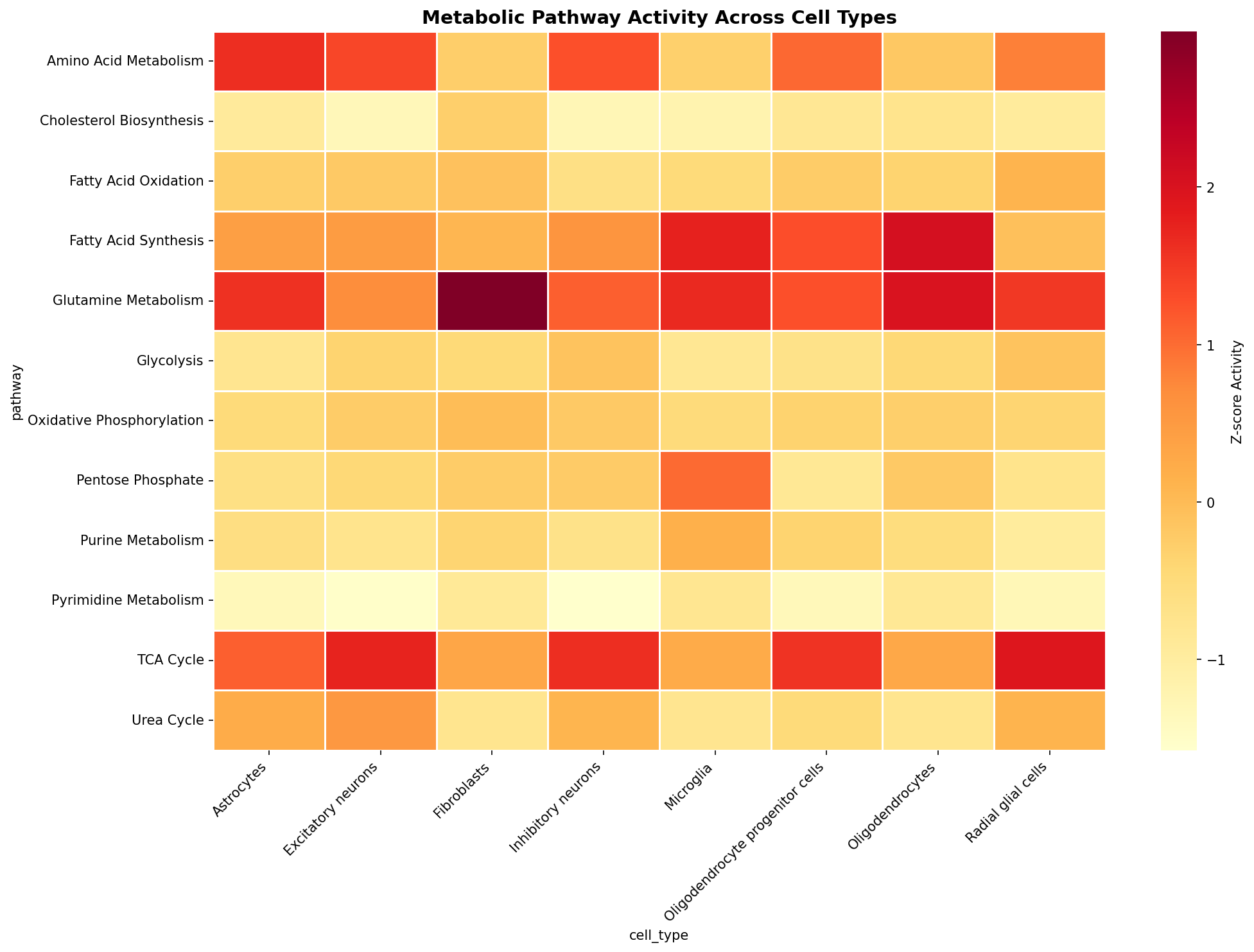 Metabolic Pathway Heatmap