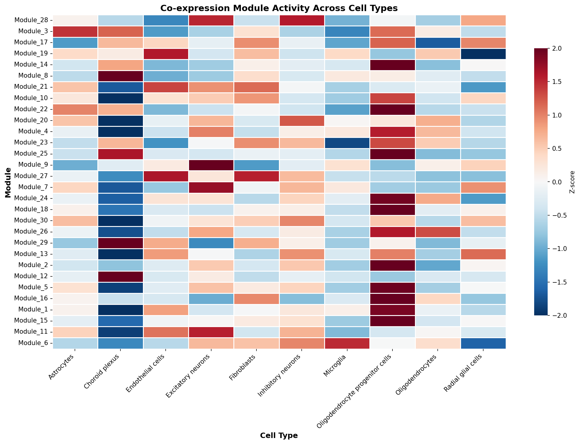 Module-Cell Type Association