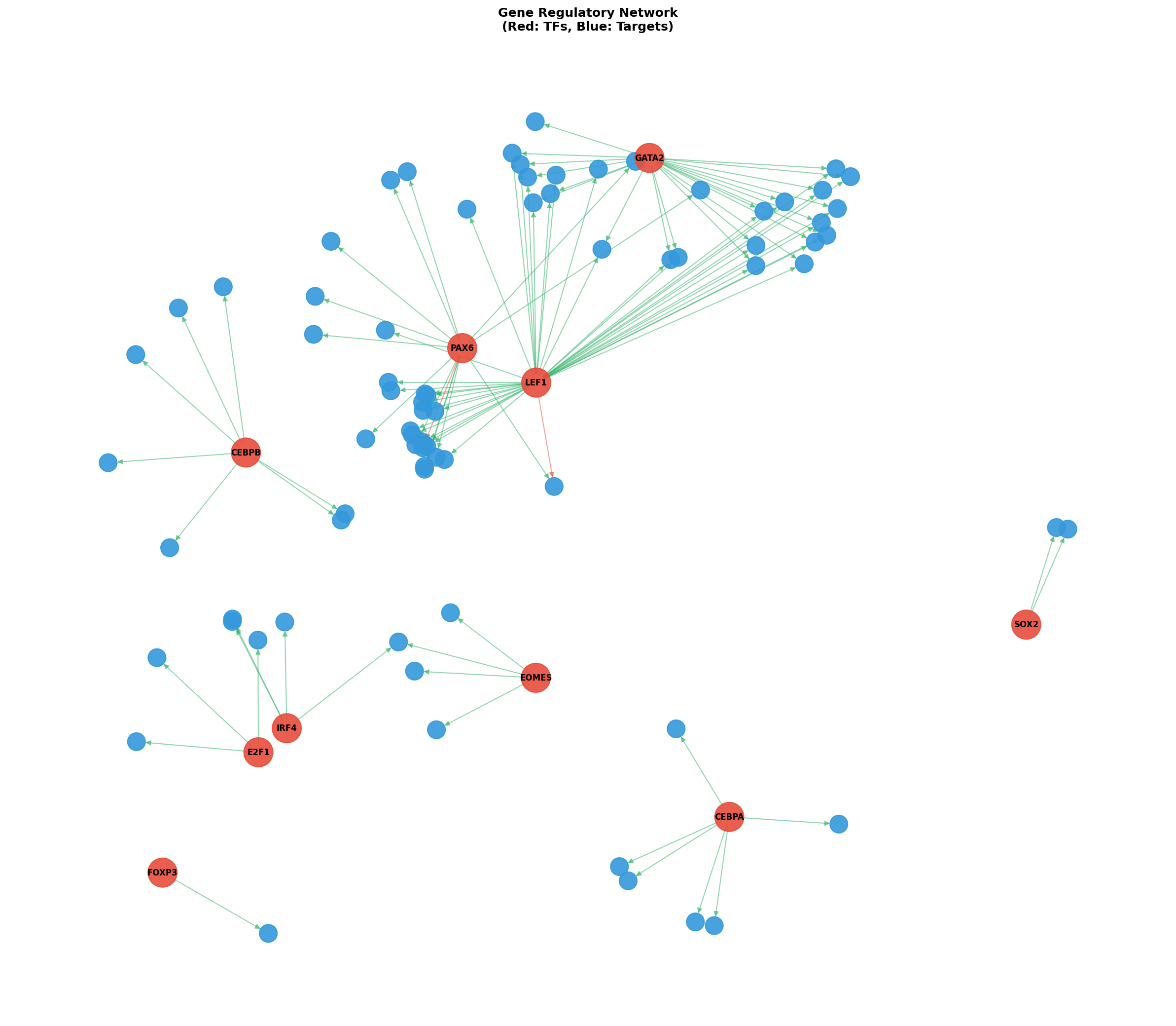 Exploratory TF-Target Association Network