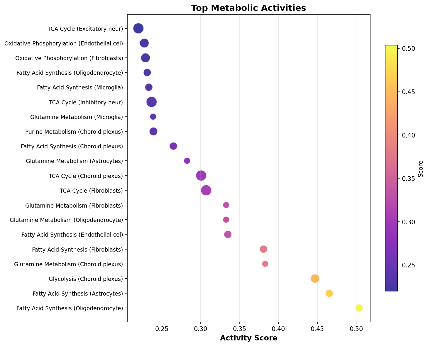 Top Metabolic Activities