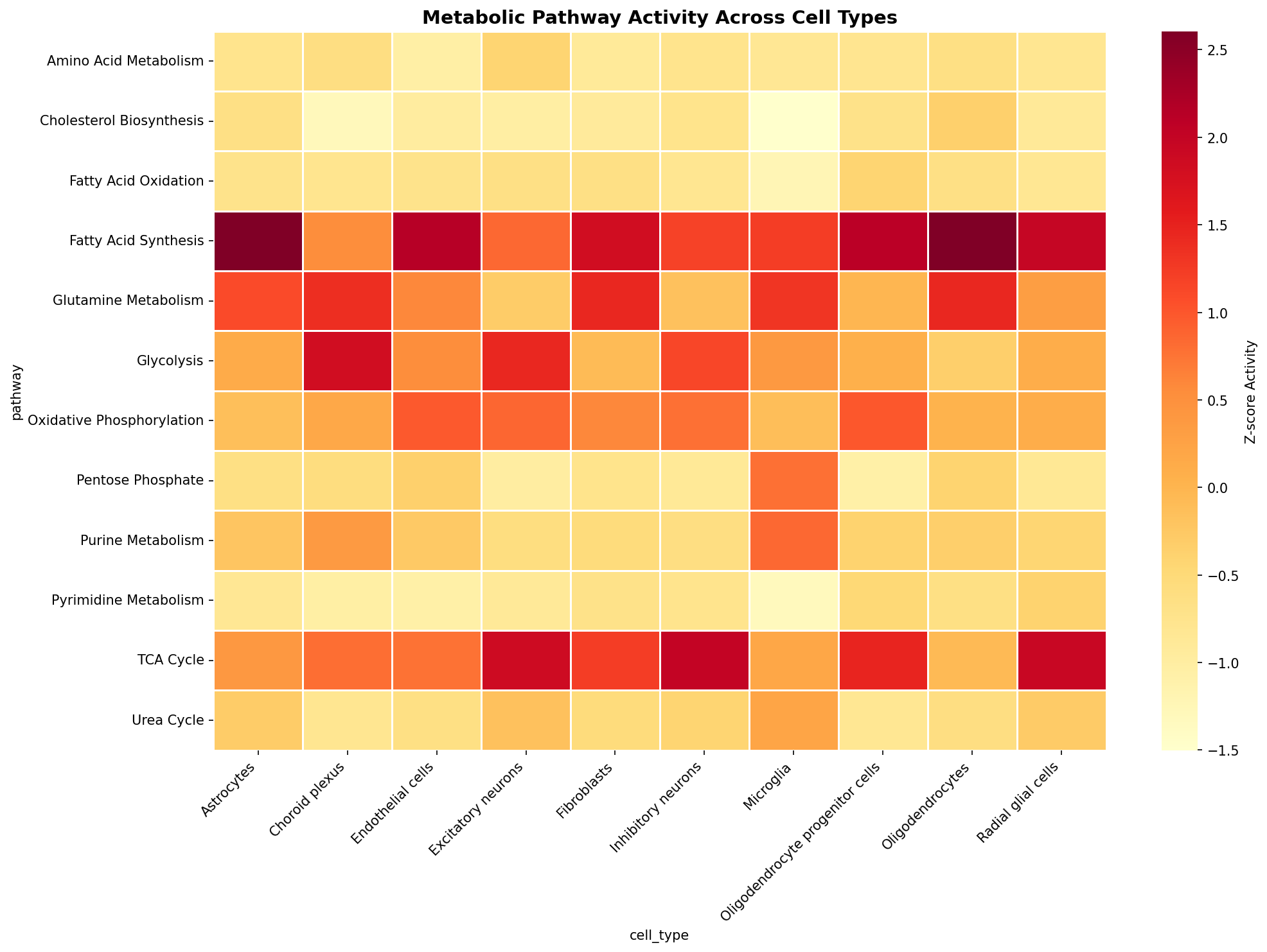 Metabolic Pathway Heatmap