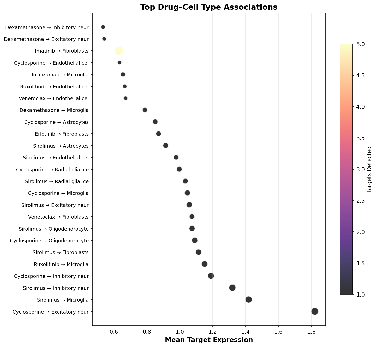 Top Drug–Cell Type Associations