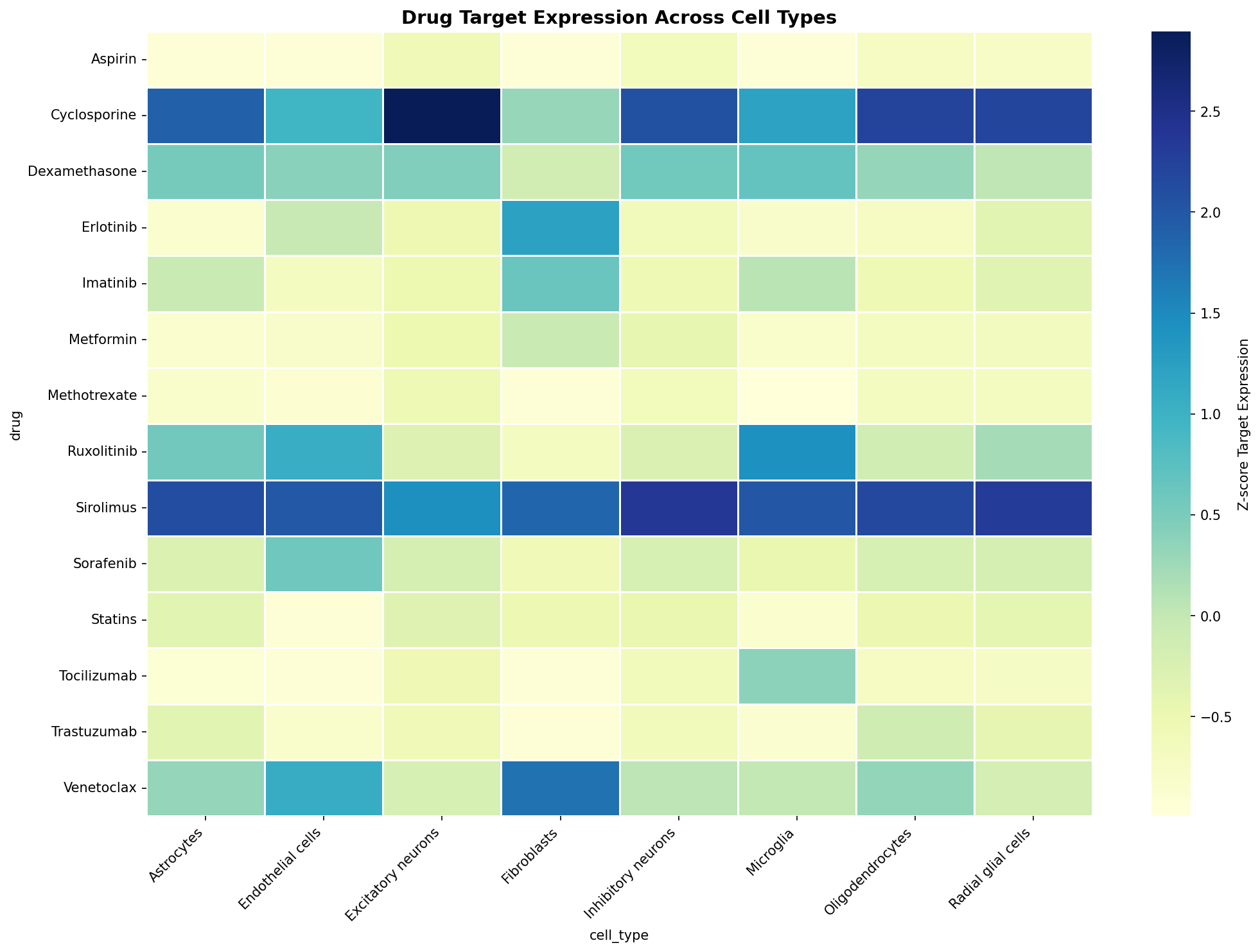 Drug Target Expression Heatmap
