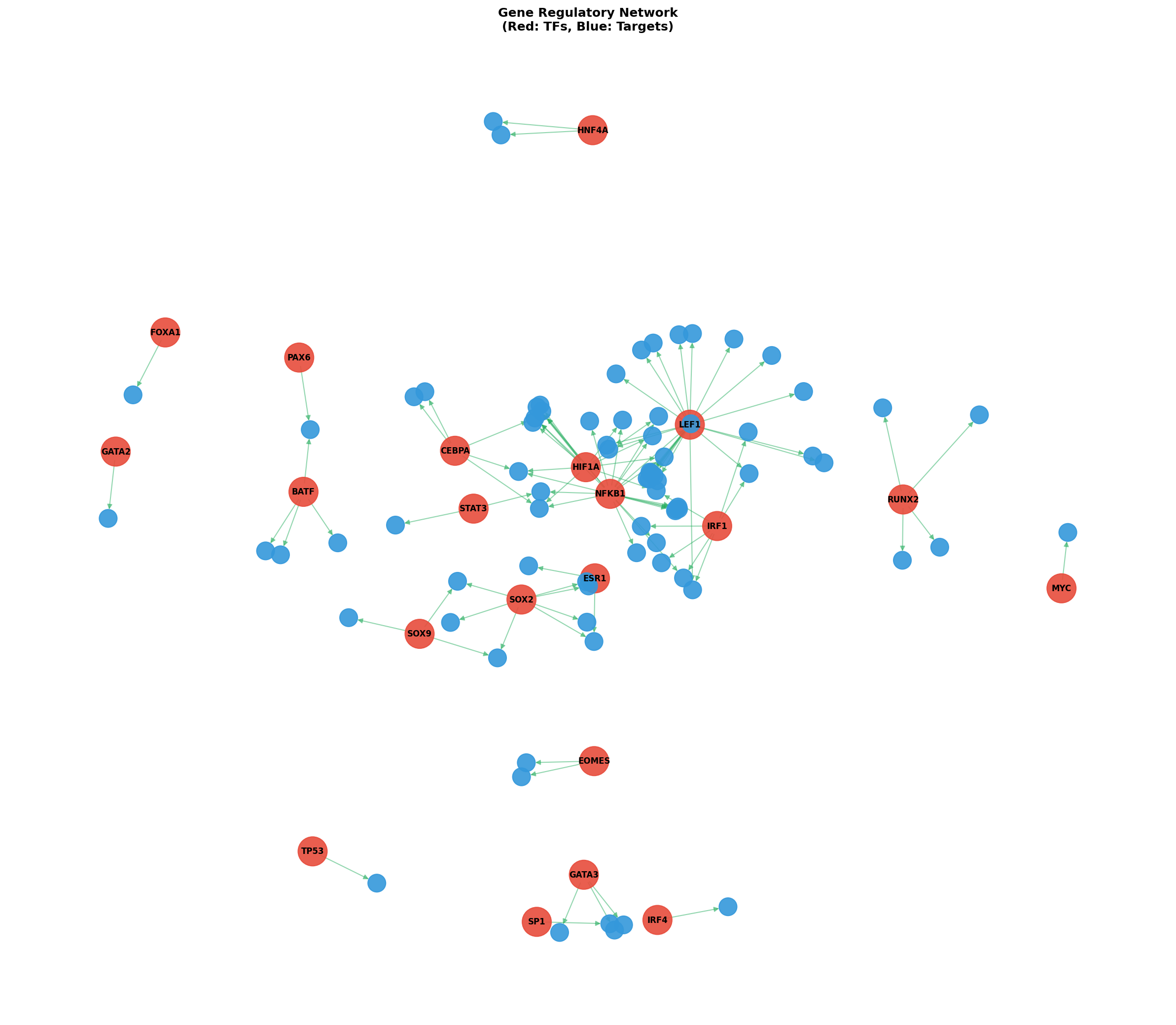 Exploratory TF-Target Association Network