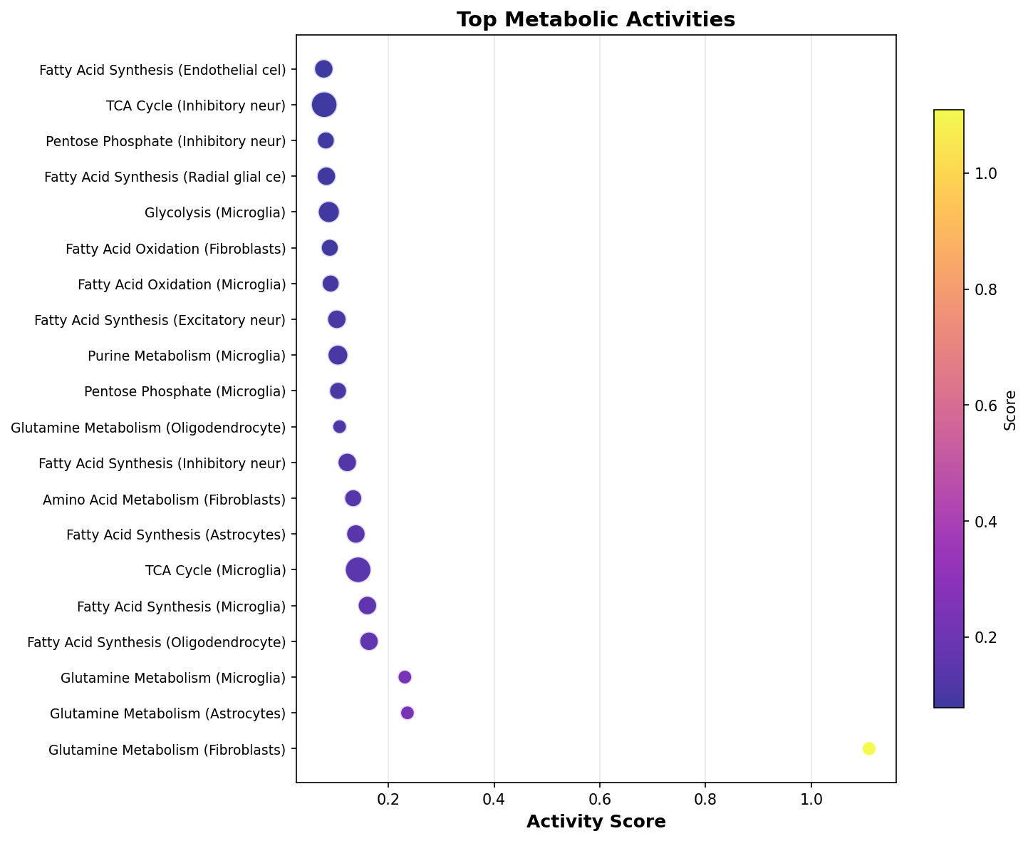 Top Metabolic Activities