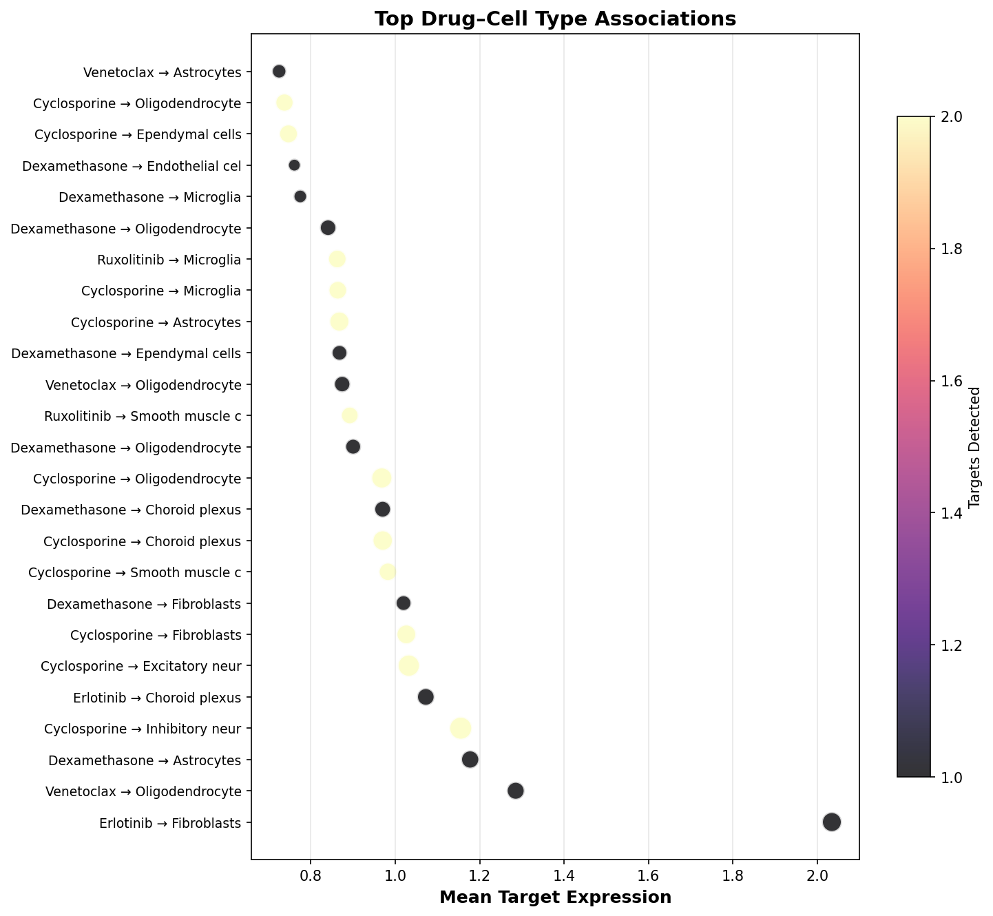Top Drug–Cell Type Associations