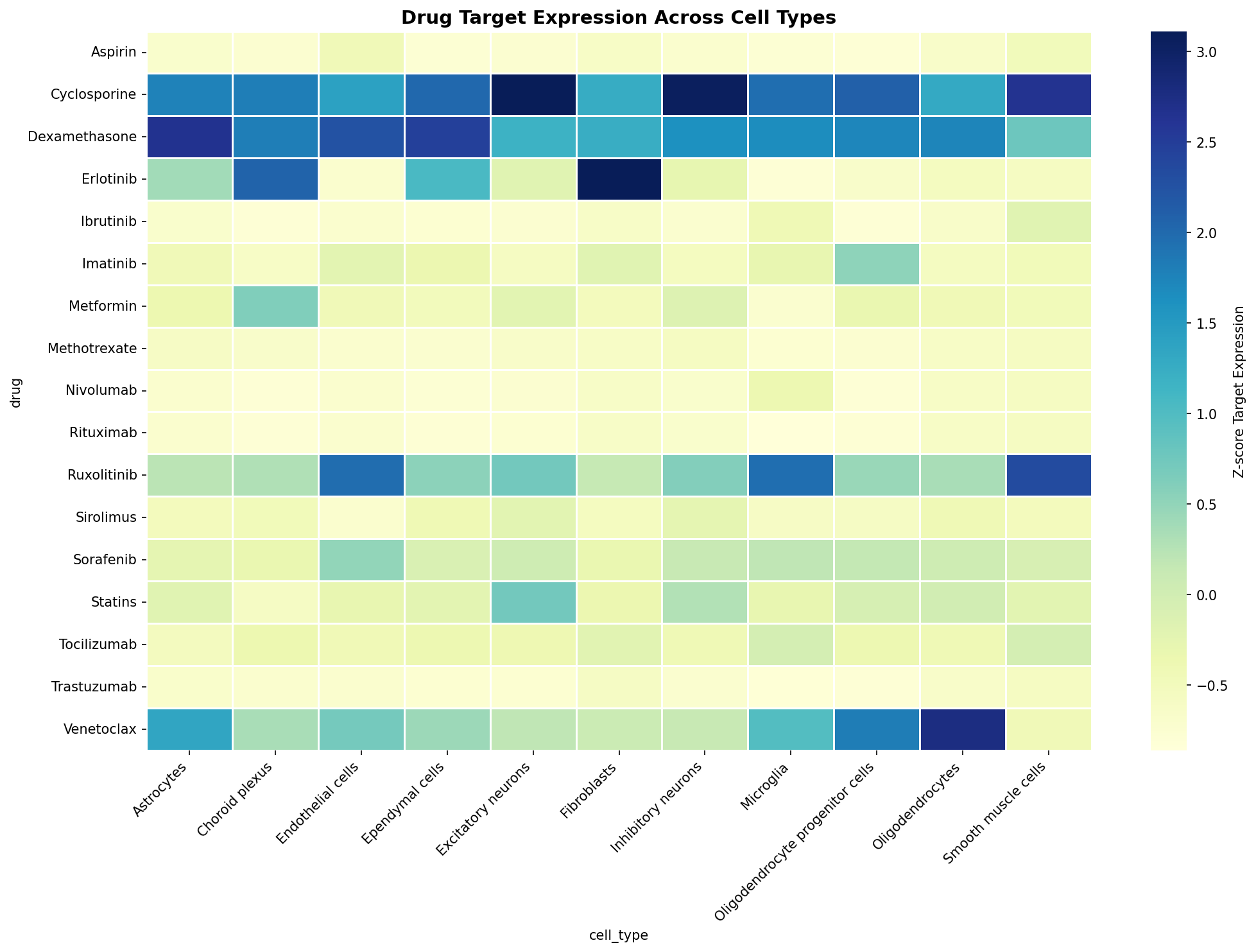 Drug Target Expression Heatmap
