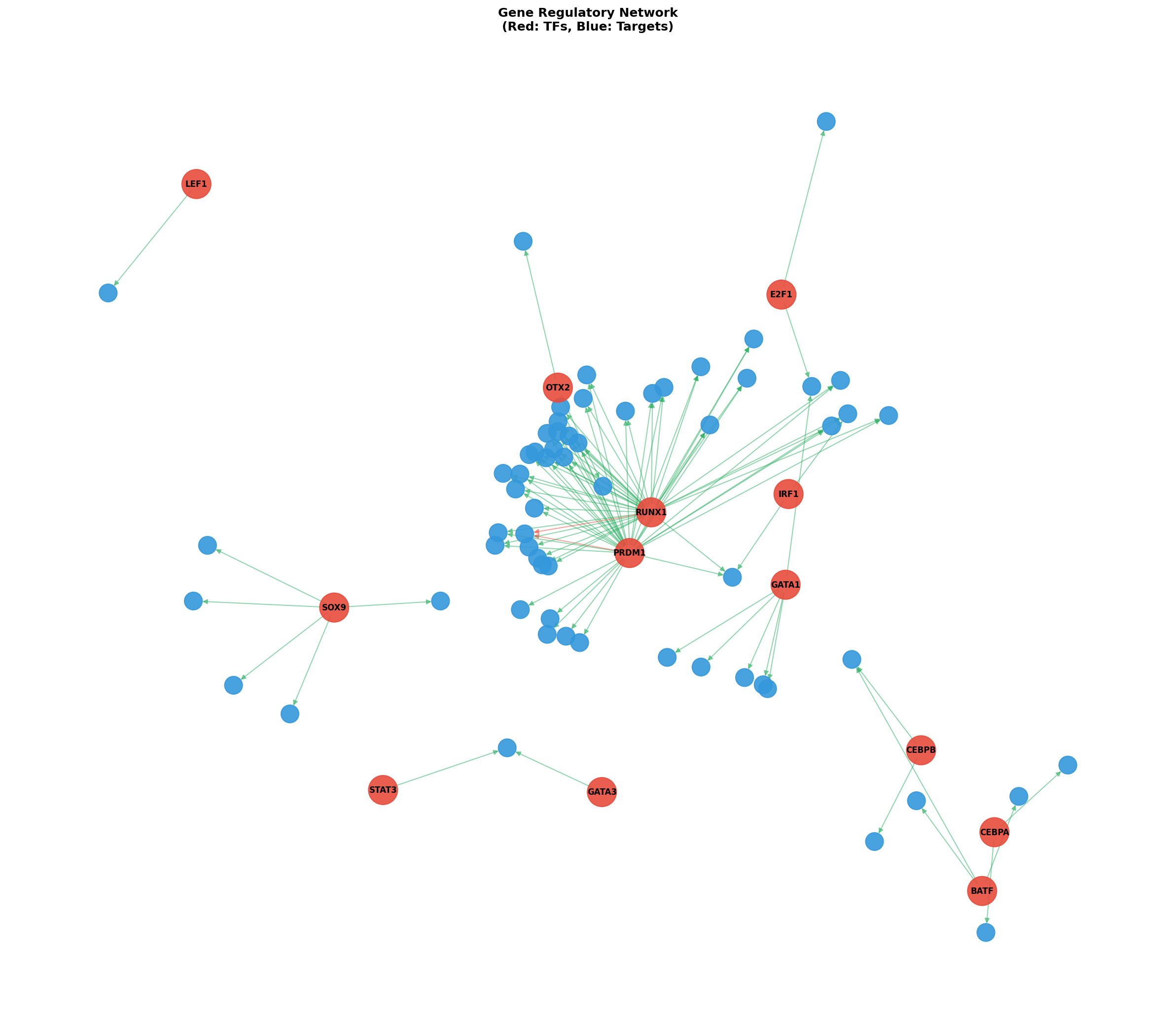 Exploratory TF-Target Association Network