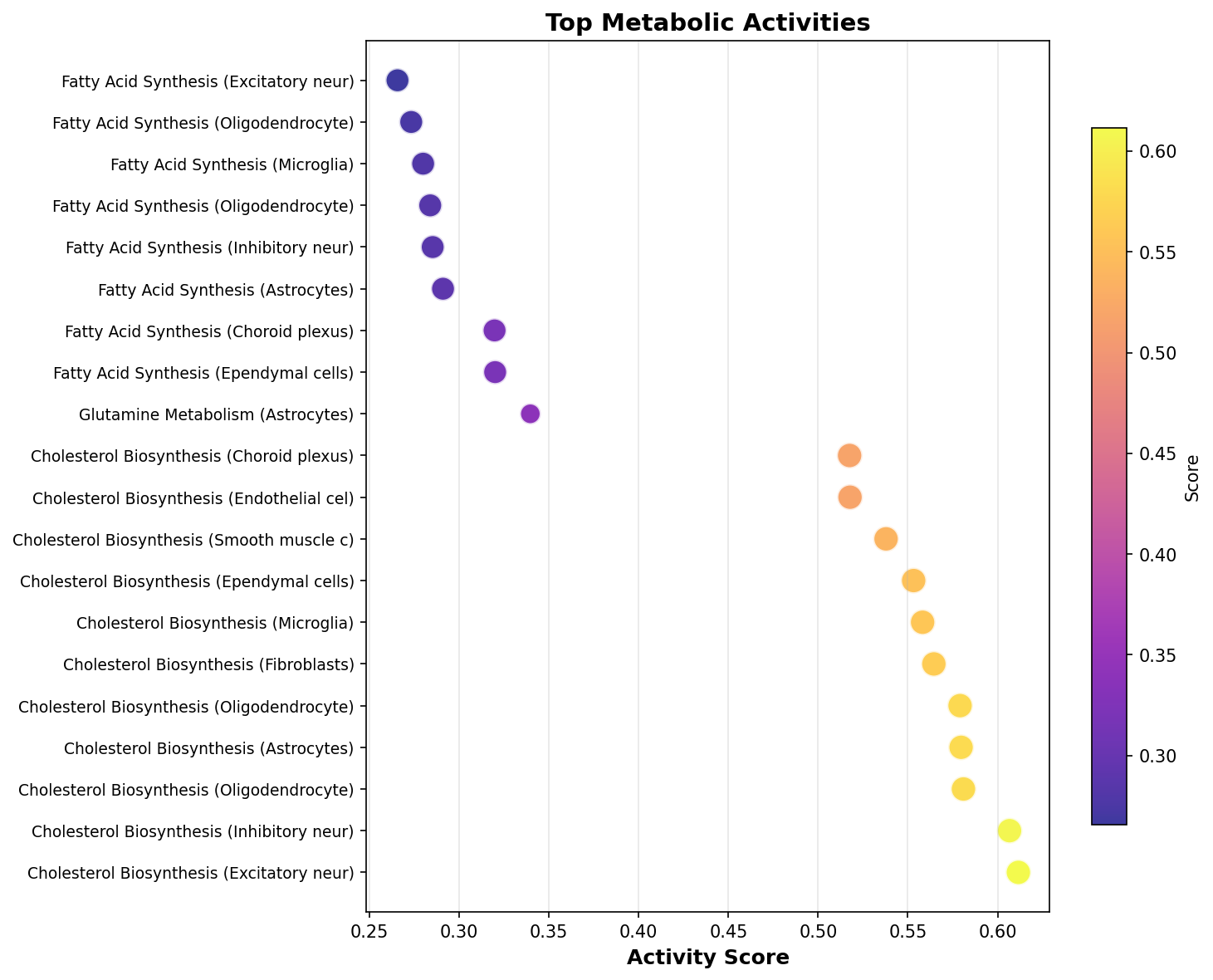 Top Metabolic Activities