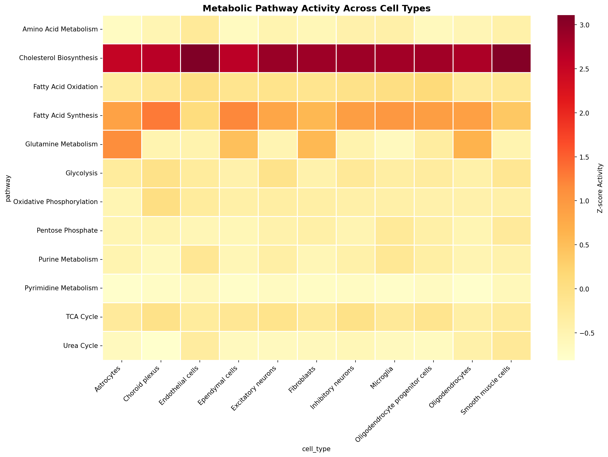 Metabolic Pathway Heatmap