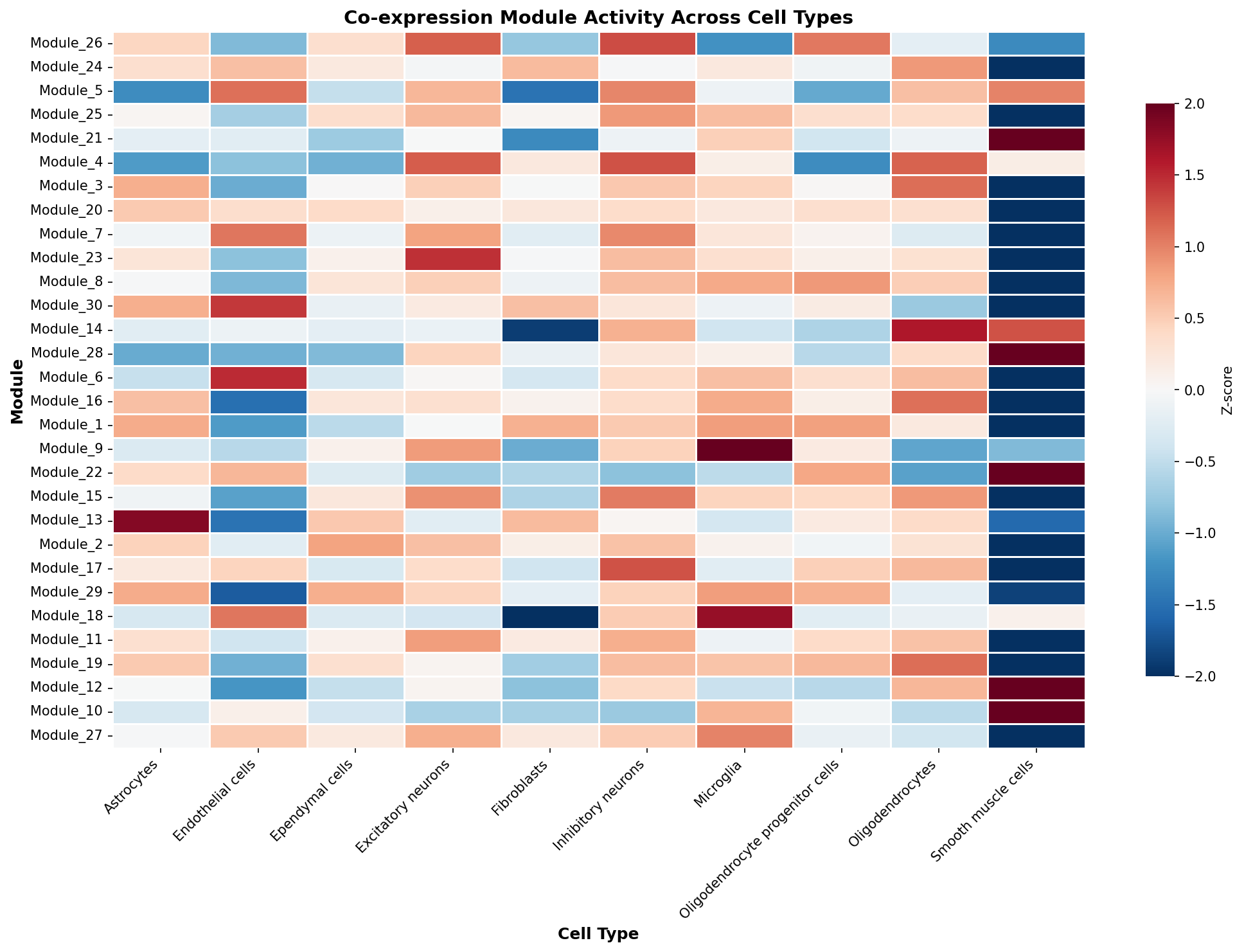 Module-Cell Type Association