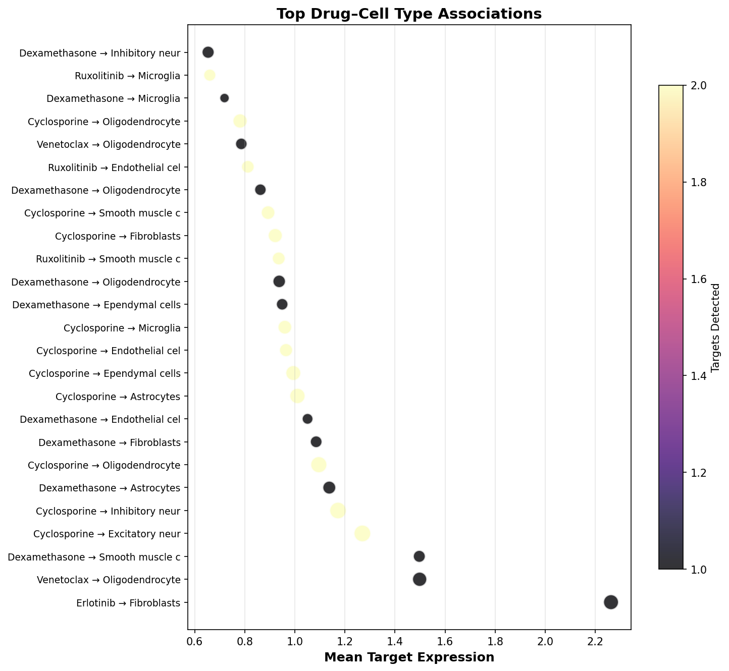 Top Drug–Cell Type Associations