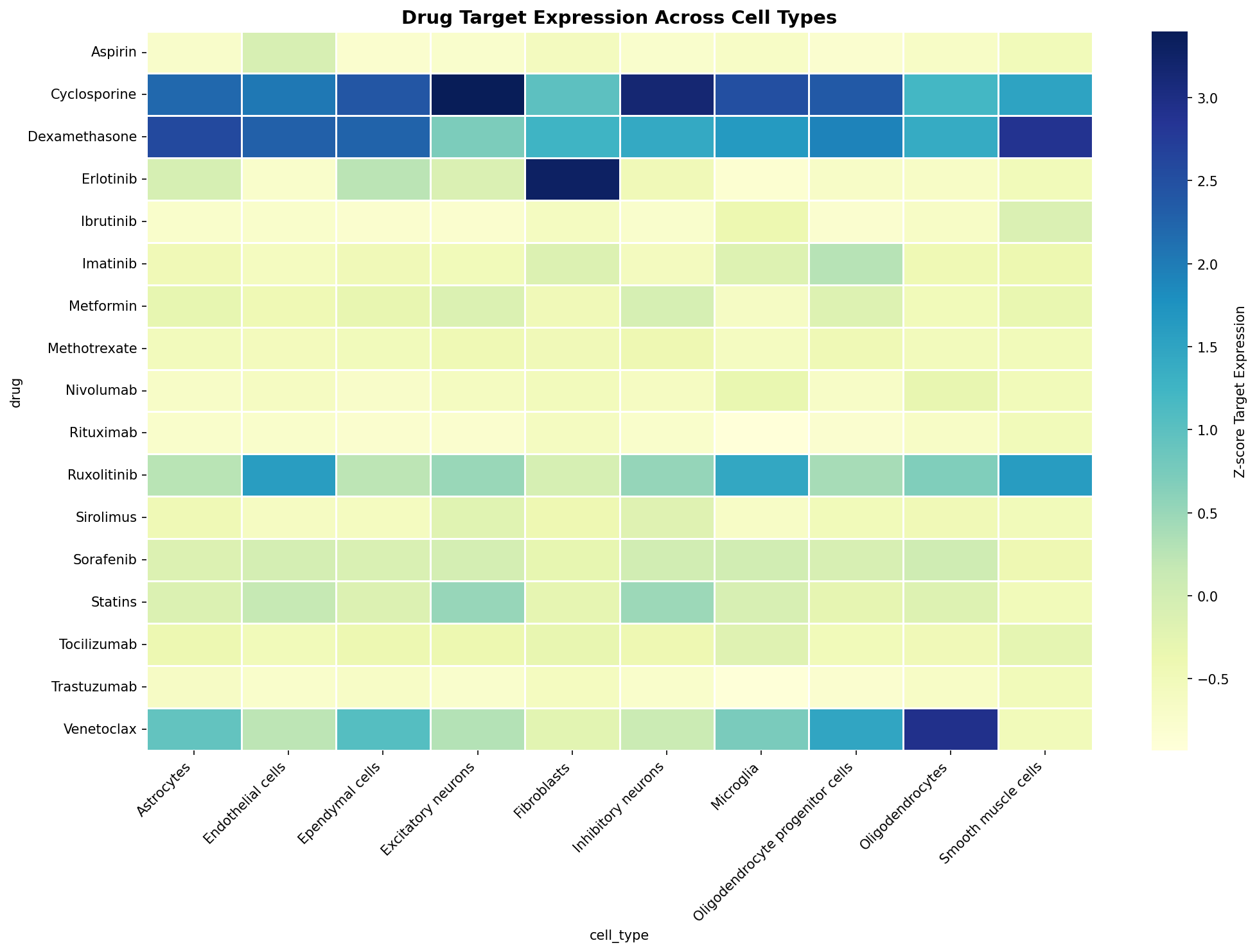 Drug Target Expression Heatmap