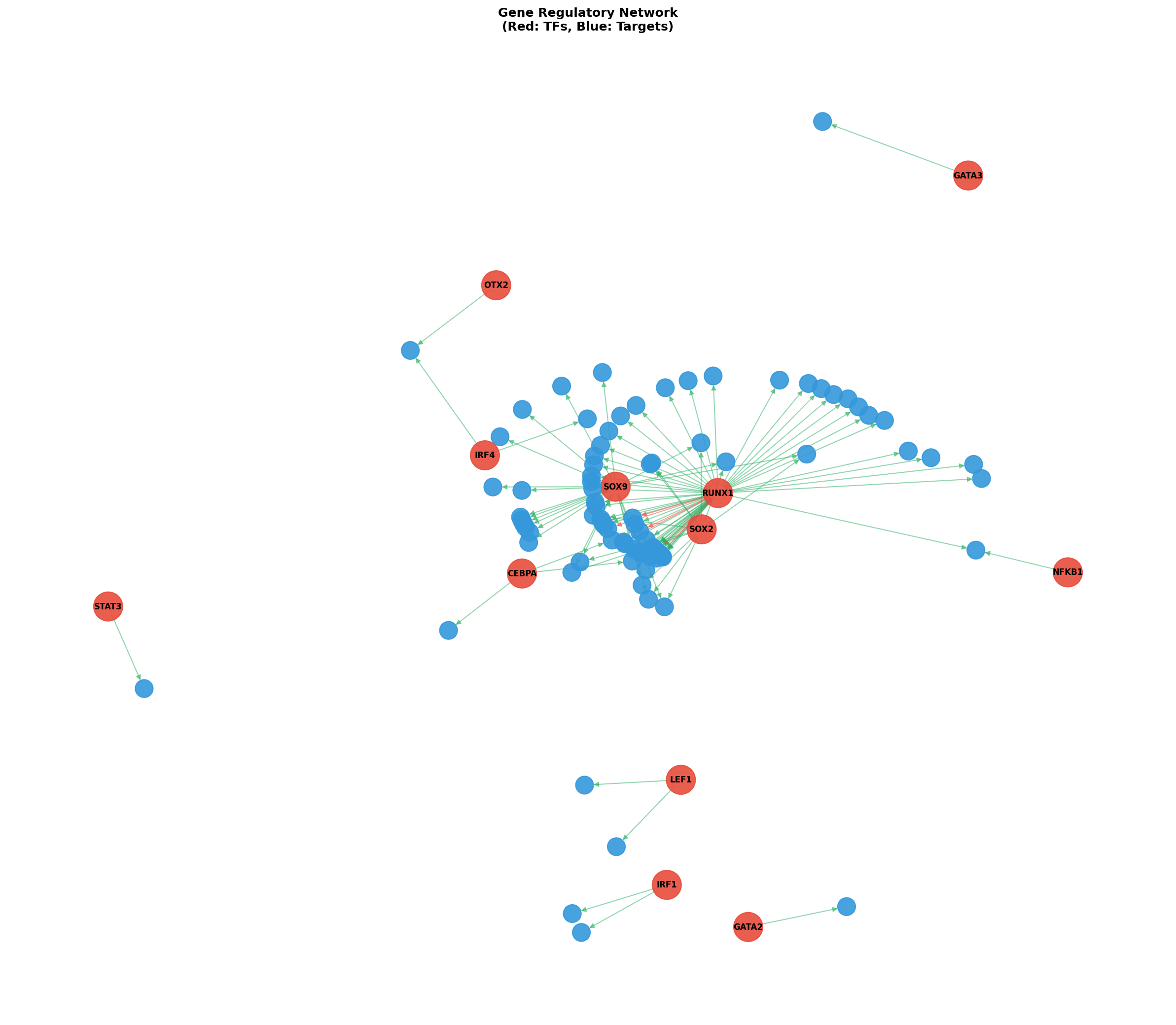 Exploratory TF-Target Association Network