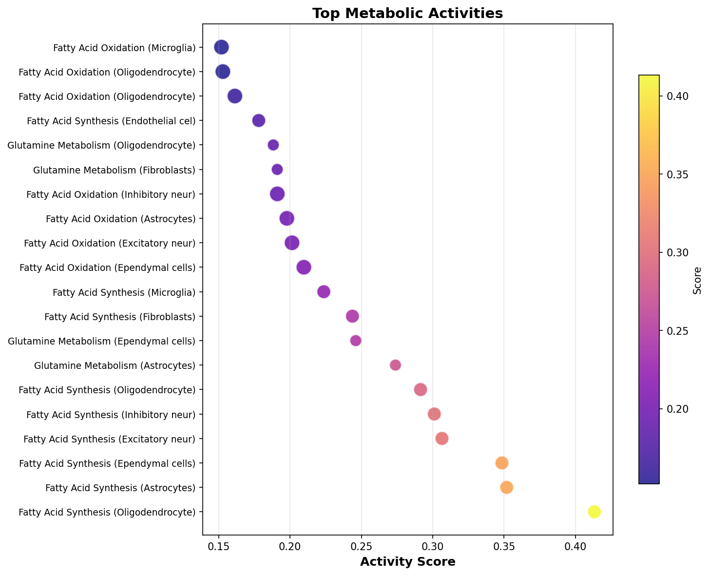 Top Metabolic Activities