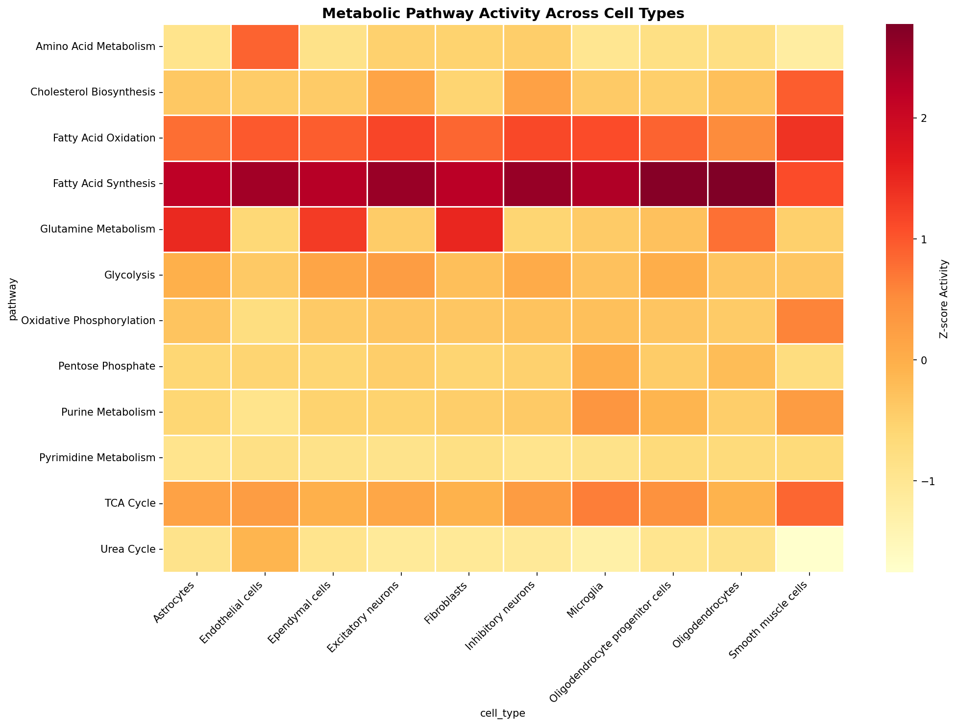 Metabolic Pathway Heatmap