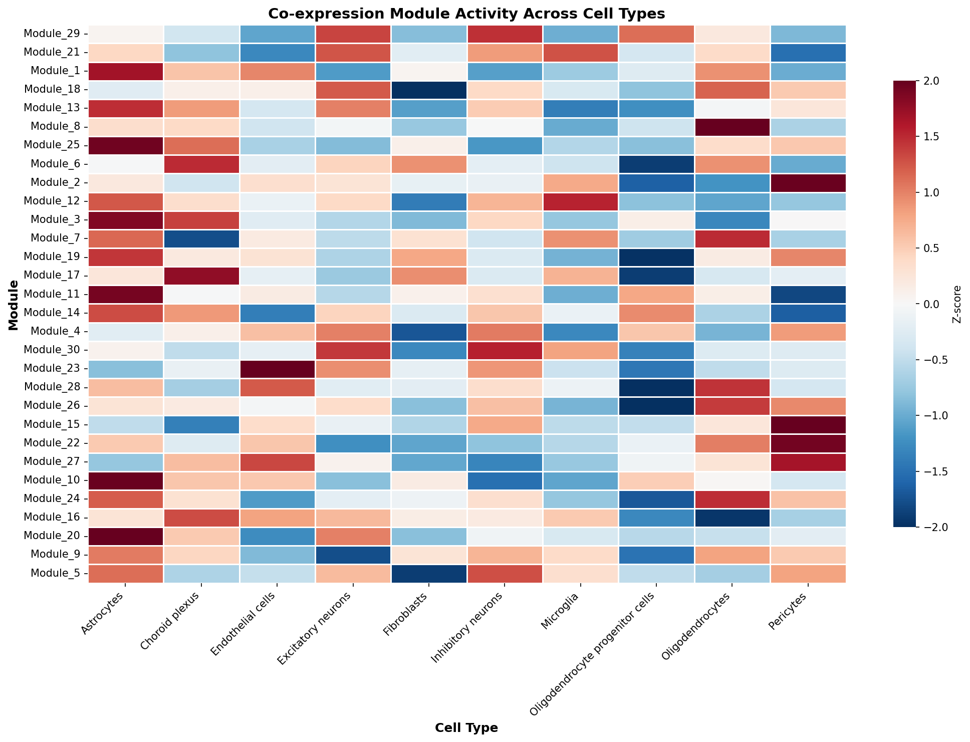 Module-Cell Type Association