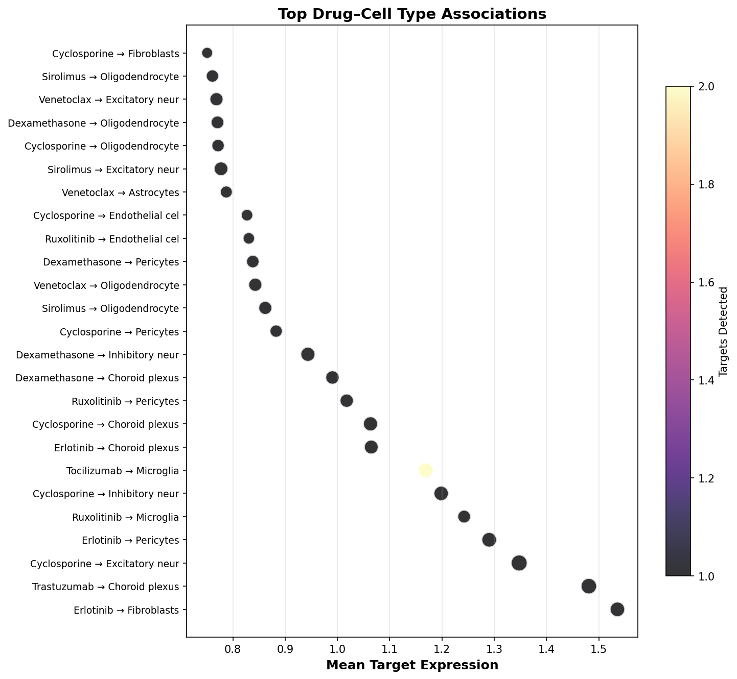Top Drug–Cell Type Associations