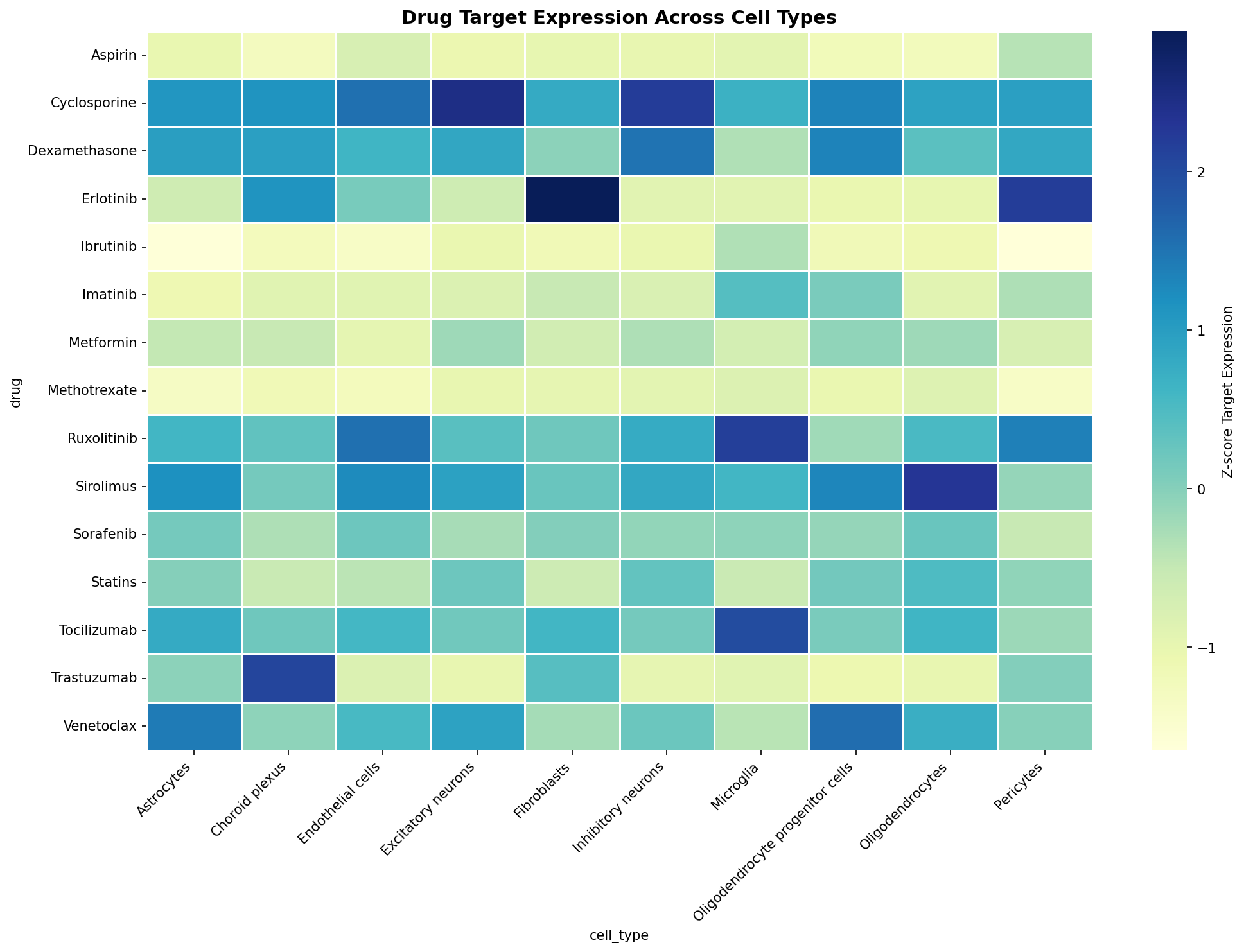 Drug Target Expression Heatmap