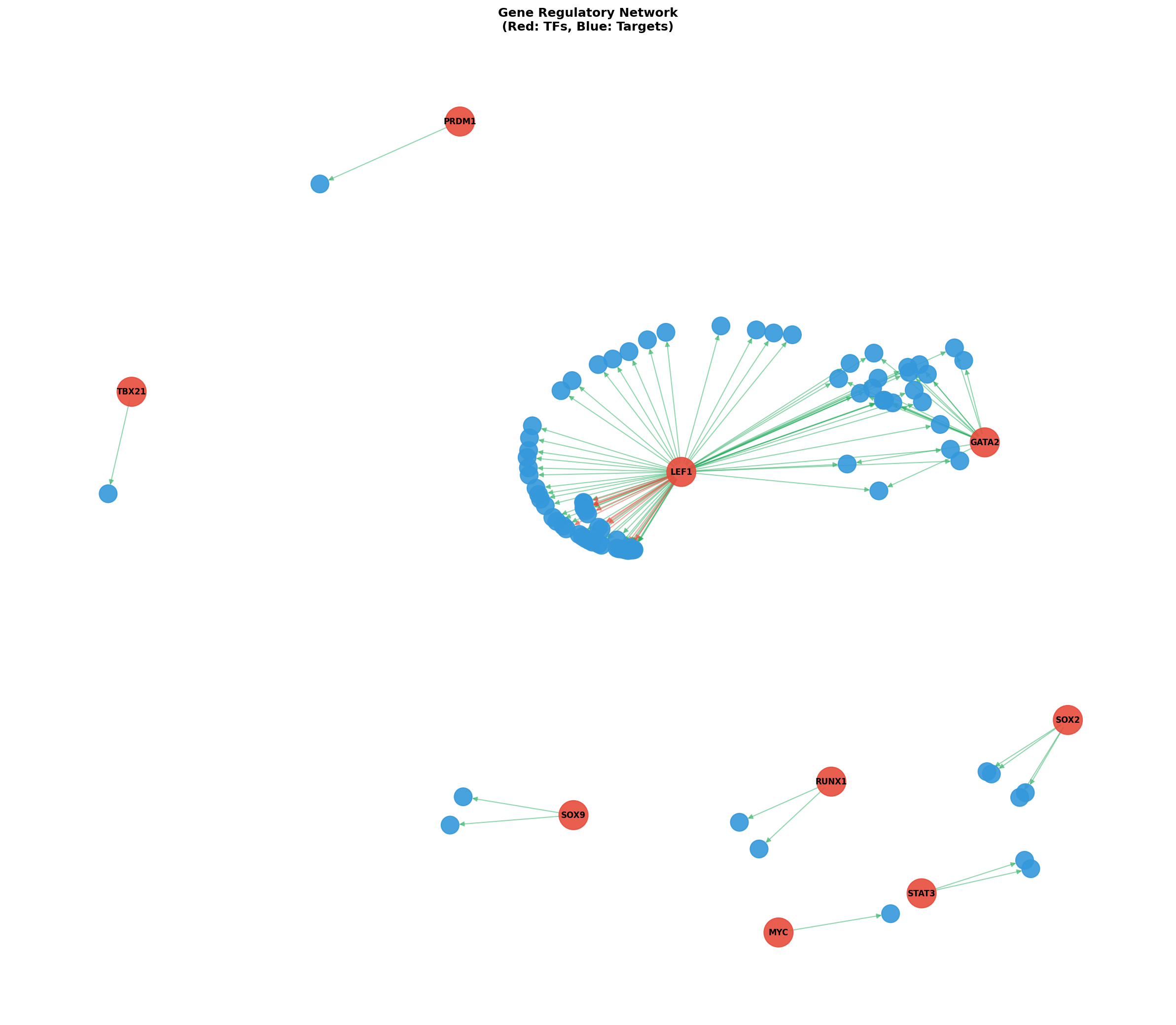 Exploratory TF-Target Association Network