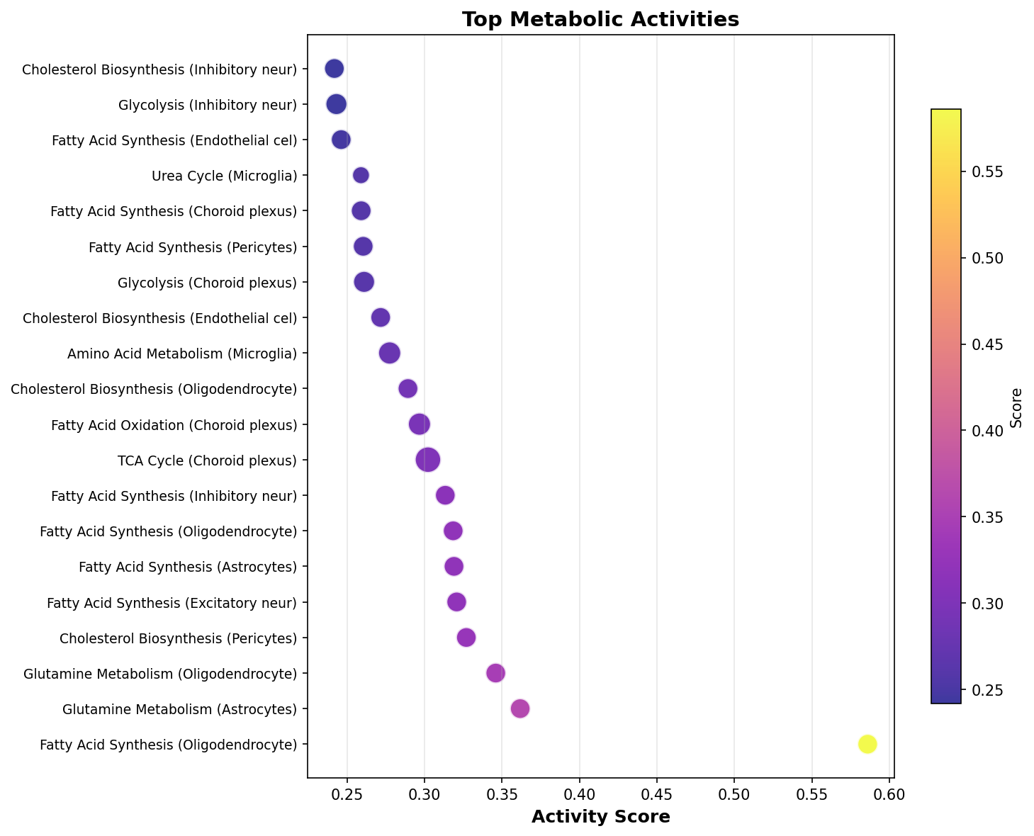 Top Metabolic Activities