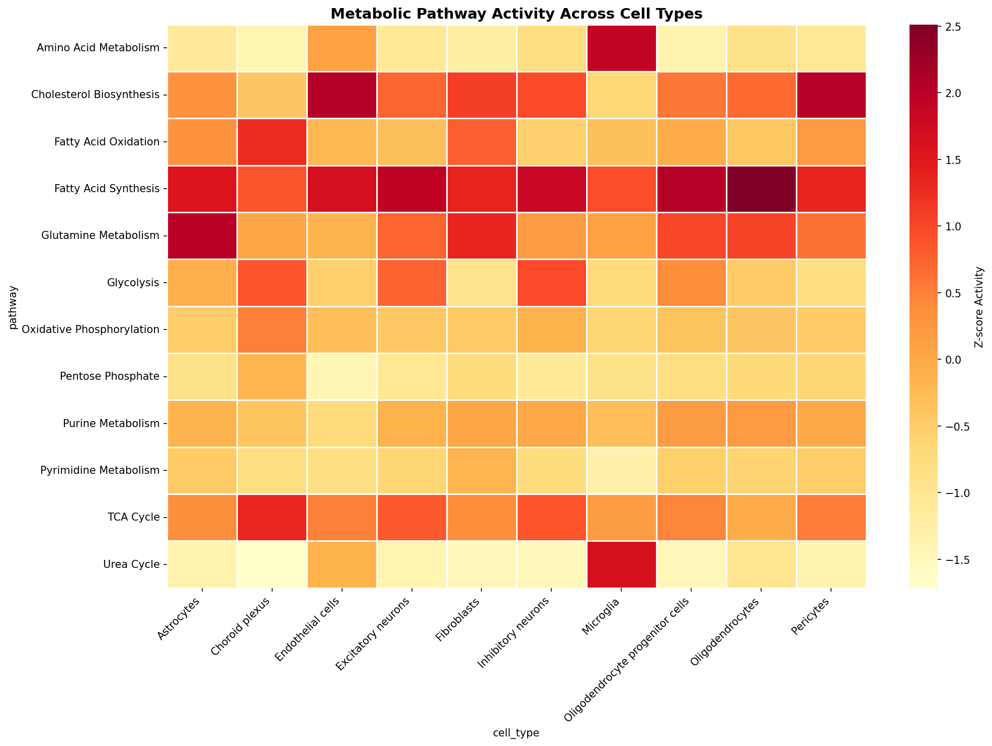 Metabolic Pathway Heatmap