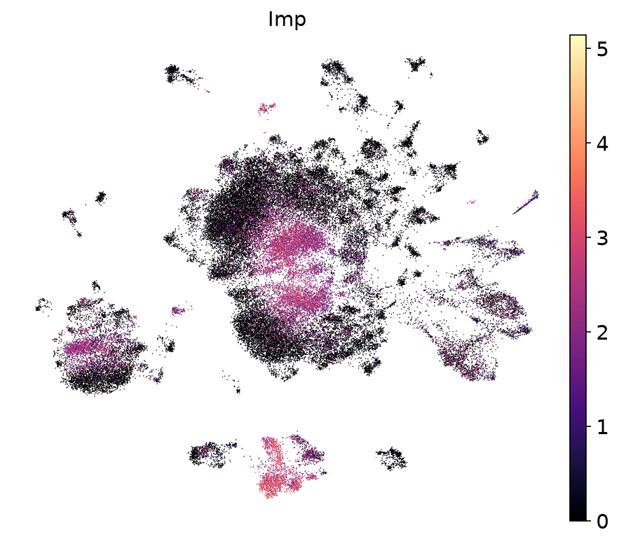 Imp on UMAP