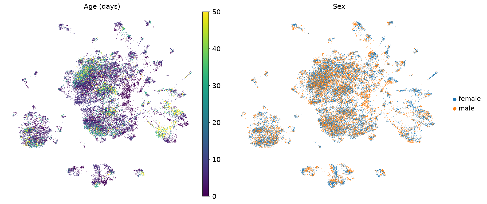 UMAP by age and sex